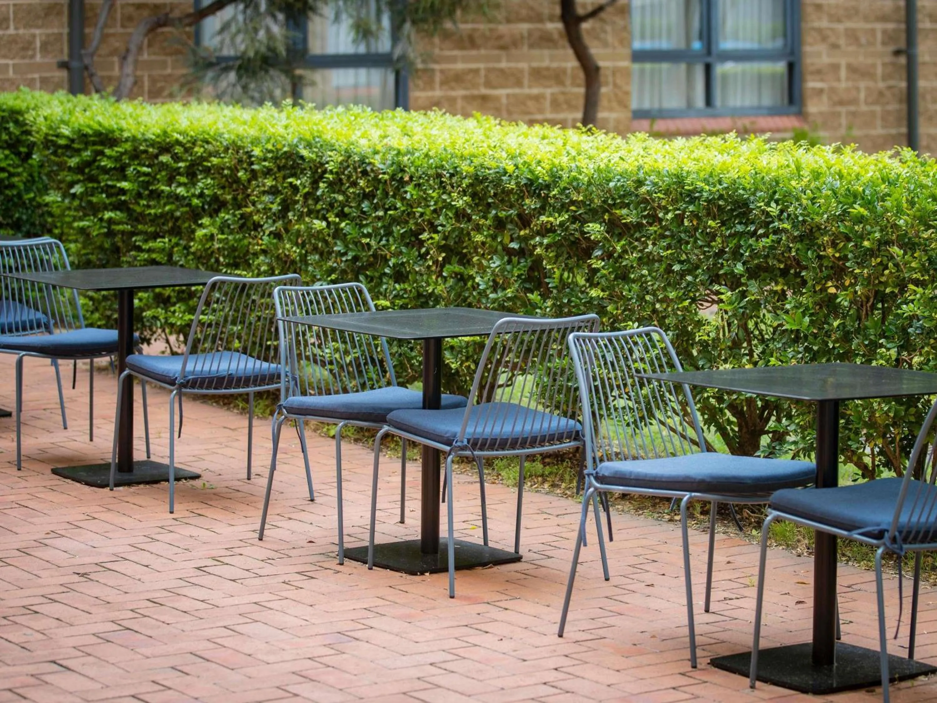 Restaurant/places to eat in Mercure Sydney Manly Warringah