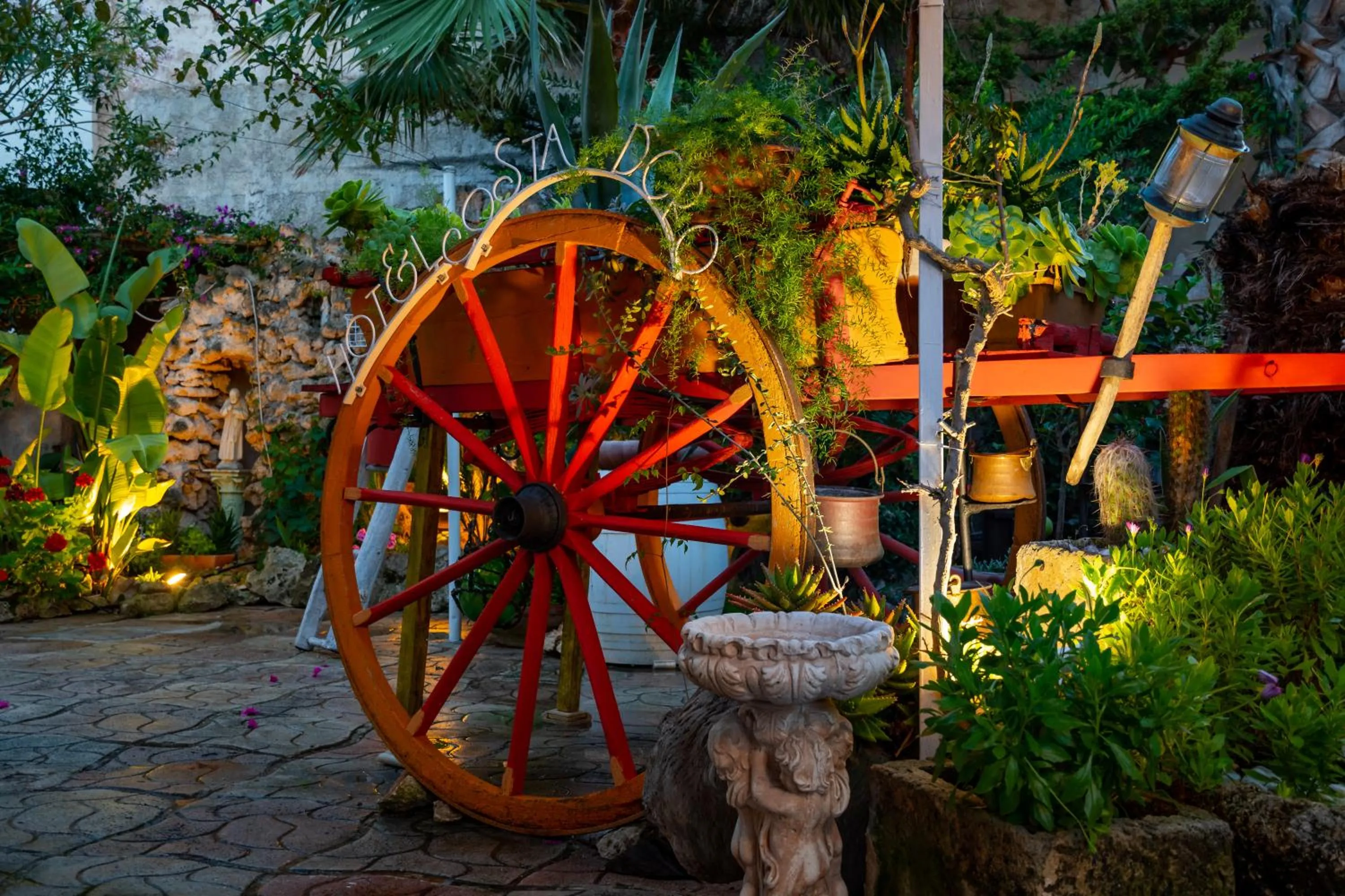 Garden in Hotel Costa D'Oro