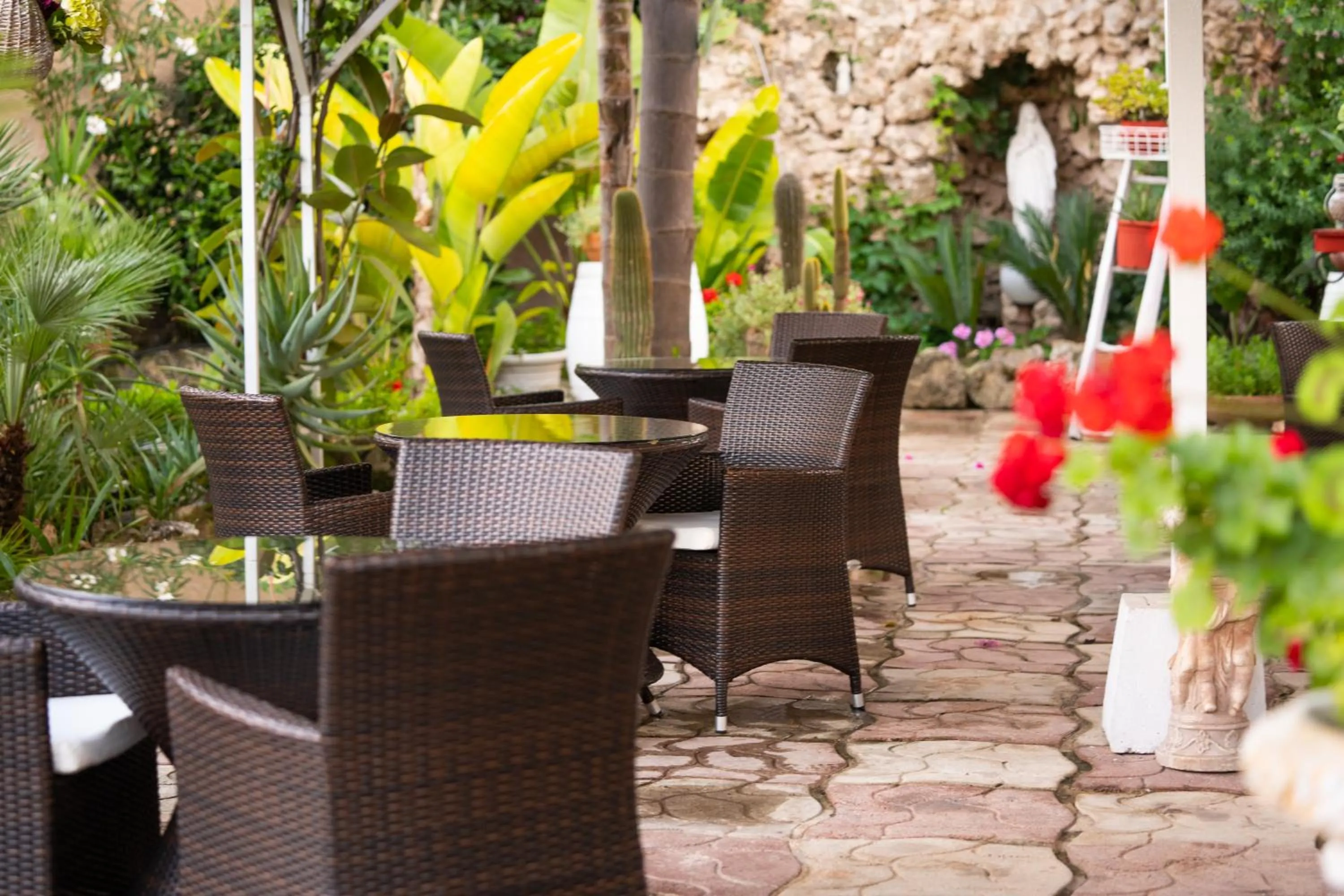 Garden in Hotel Costa D'Oro