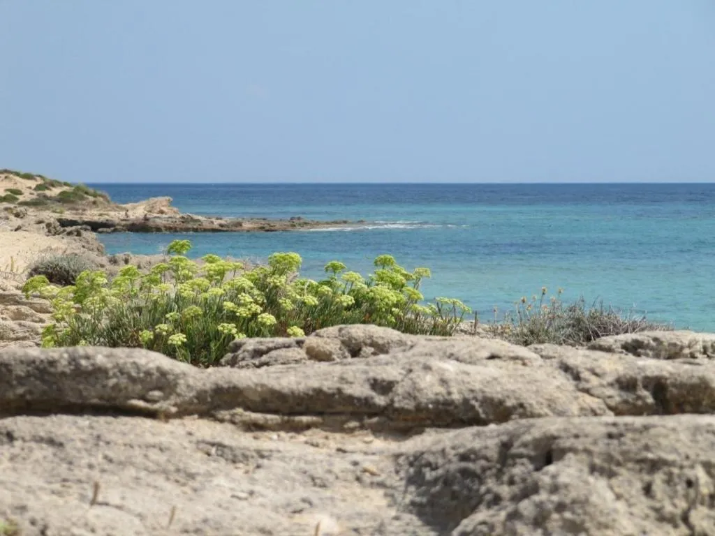 Day in Hotel Costa D'Oro