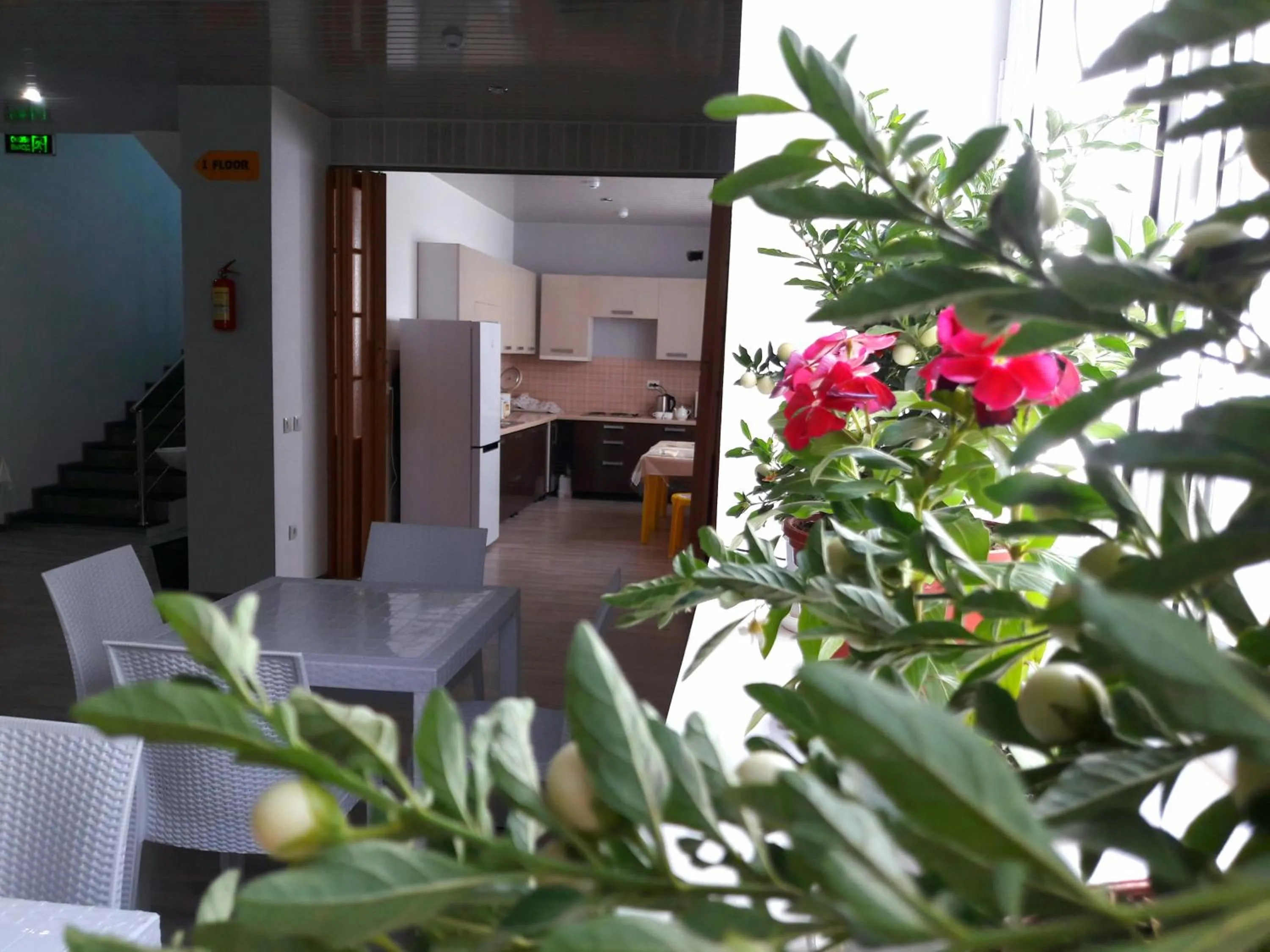 Communal lounge/ TV room in Jules Verne Hostel