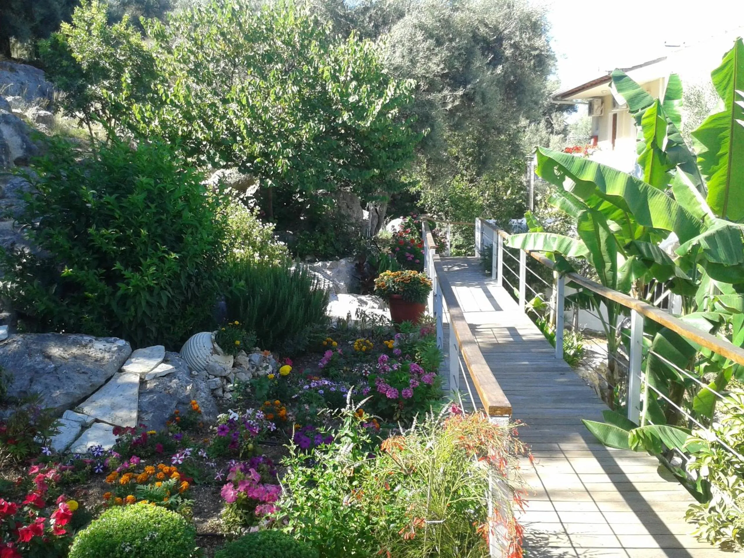 Garden in La Casa Di Nonna Anna