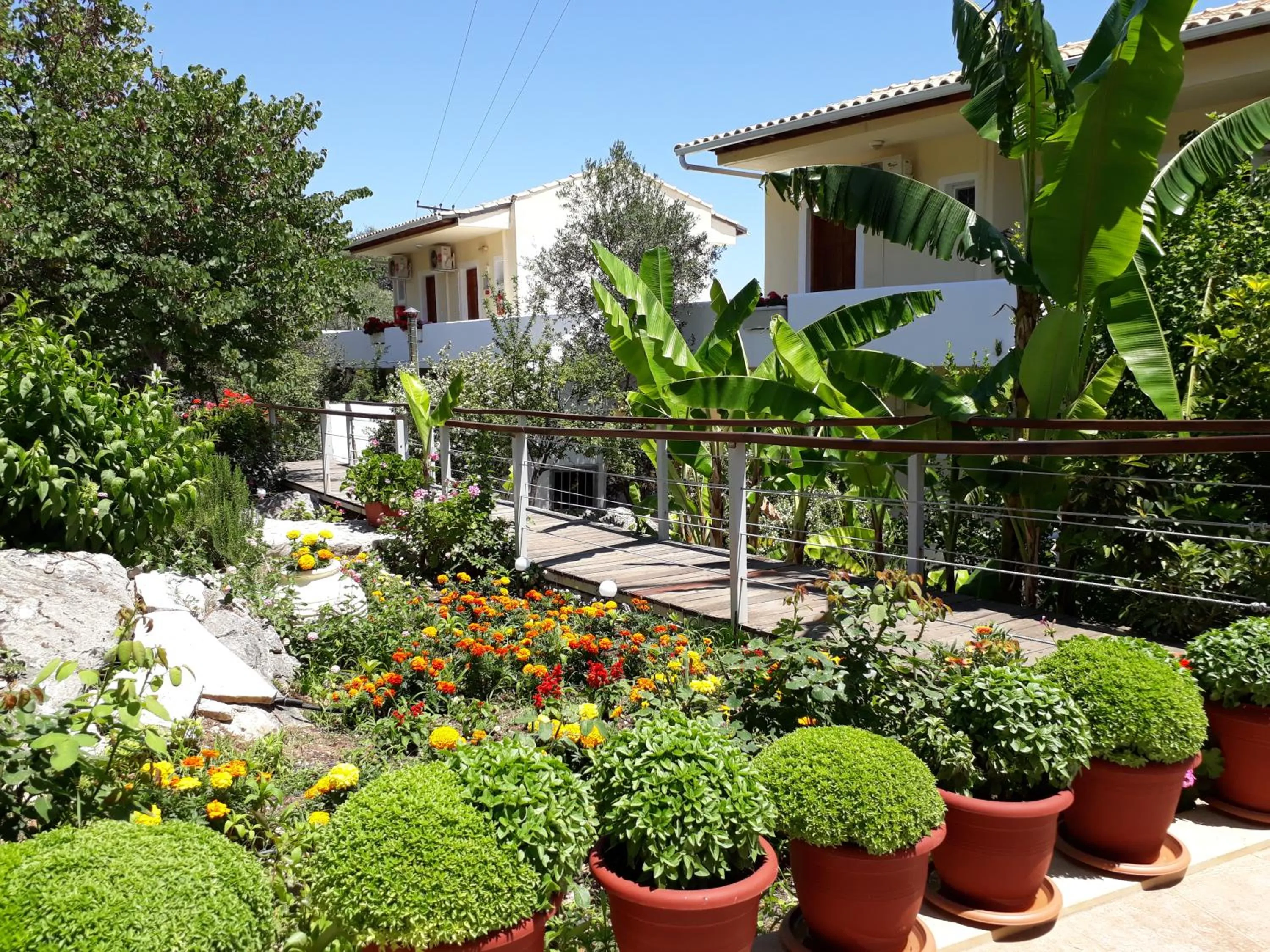 Garden in La Casa Di Nonna Anna