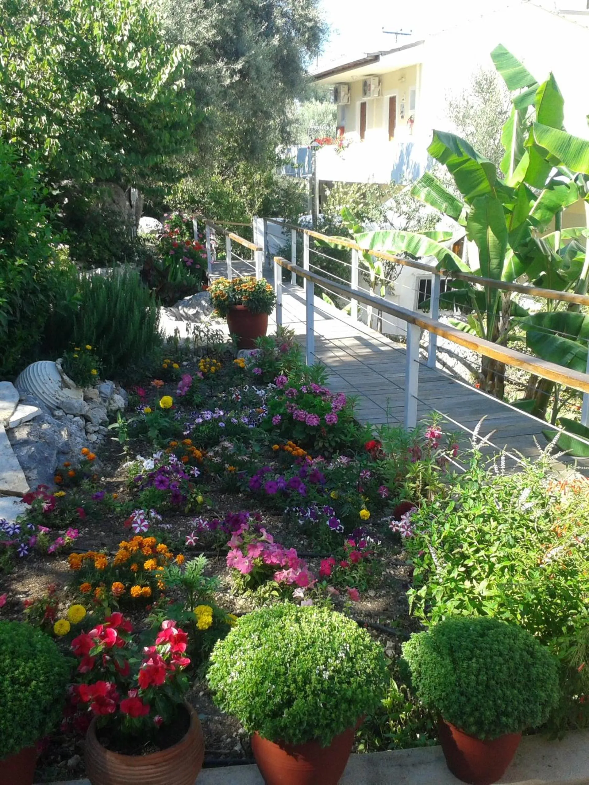 Garden in La Casa Di Nonna Anna