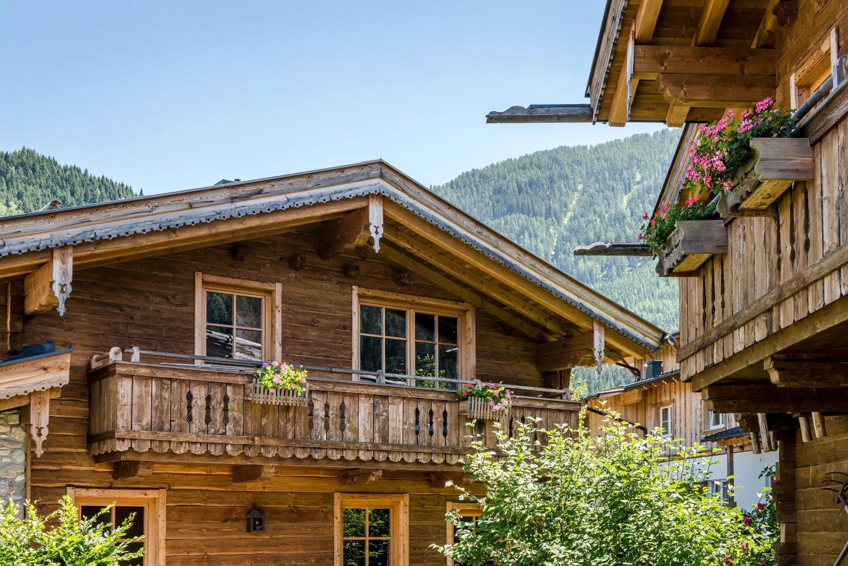 Property building in almlust - hotel, apartments, chalets