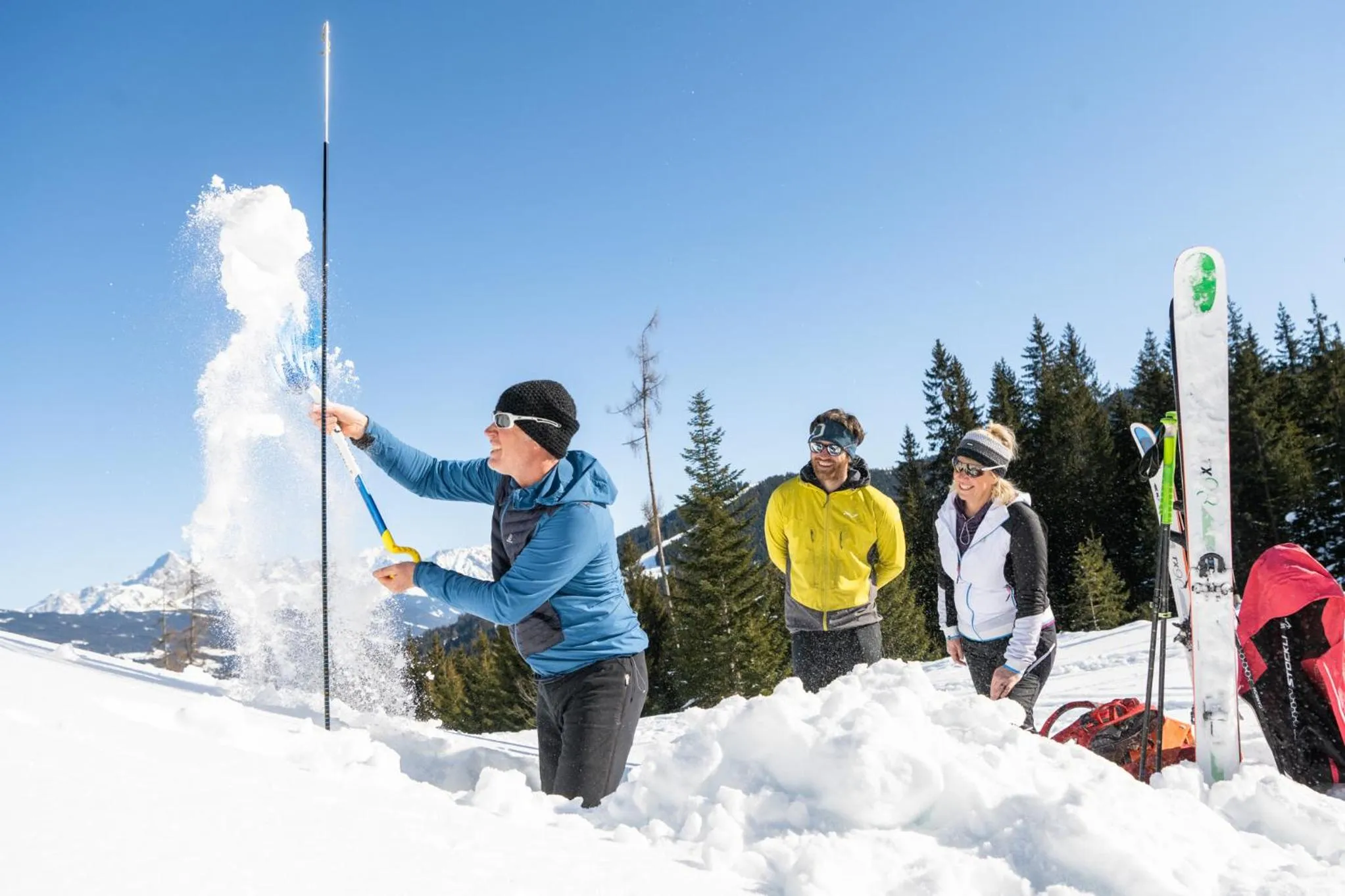 almlust - hotel, apartments, chalets