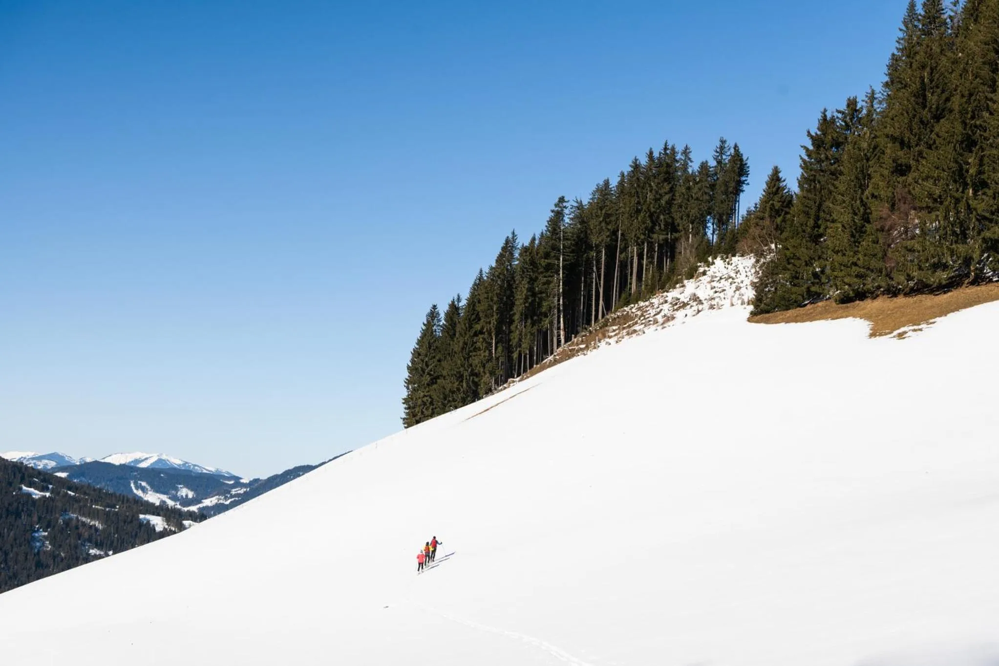 almlust - hotel, apartments, chalets