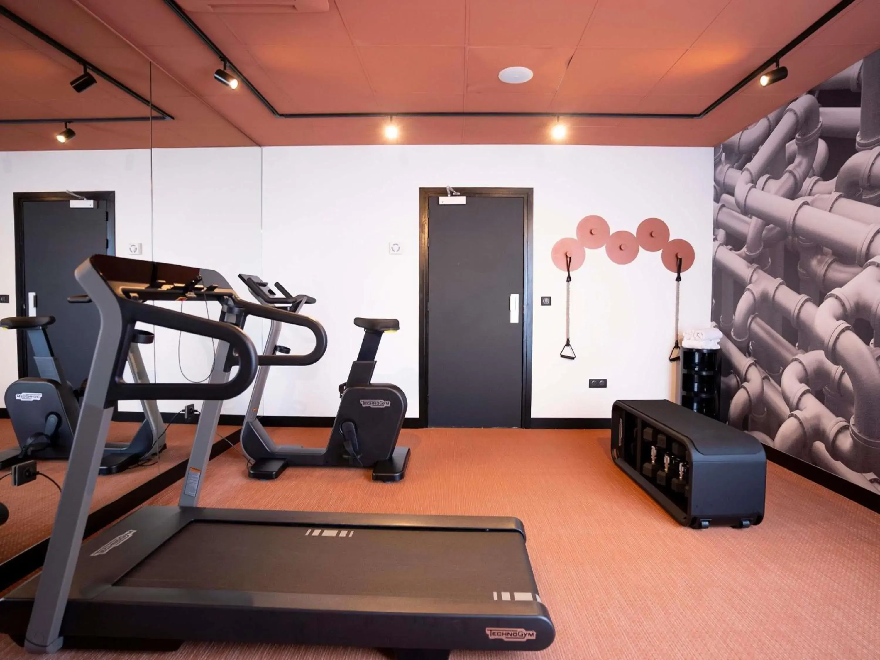 Fitness centre/facilities in ibis Styles Strasbourg Nord Palais des Congrès Fitness centre/facilities in ibis Styles Strasbourg Nord Palais des Congrès