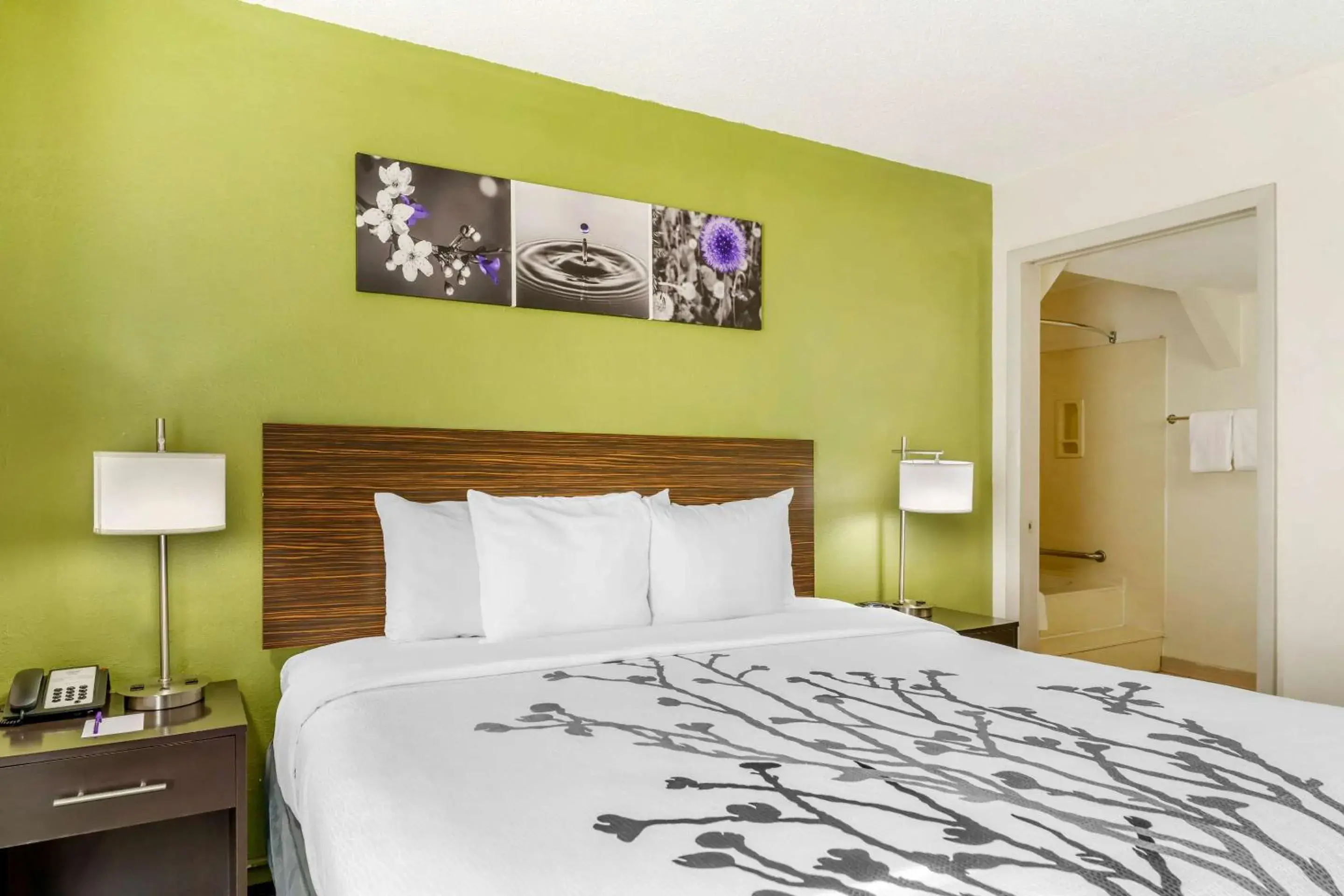 Bedroom, Bed in Sleep Inn Hickory South Bedroom, Bed in Sleep Inn Hickory South