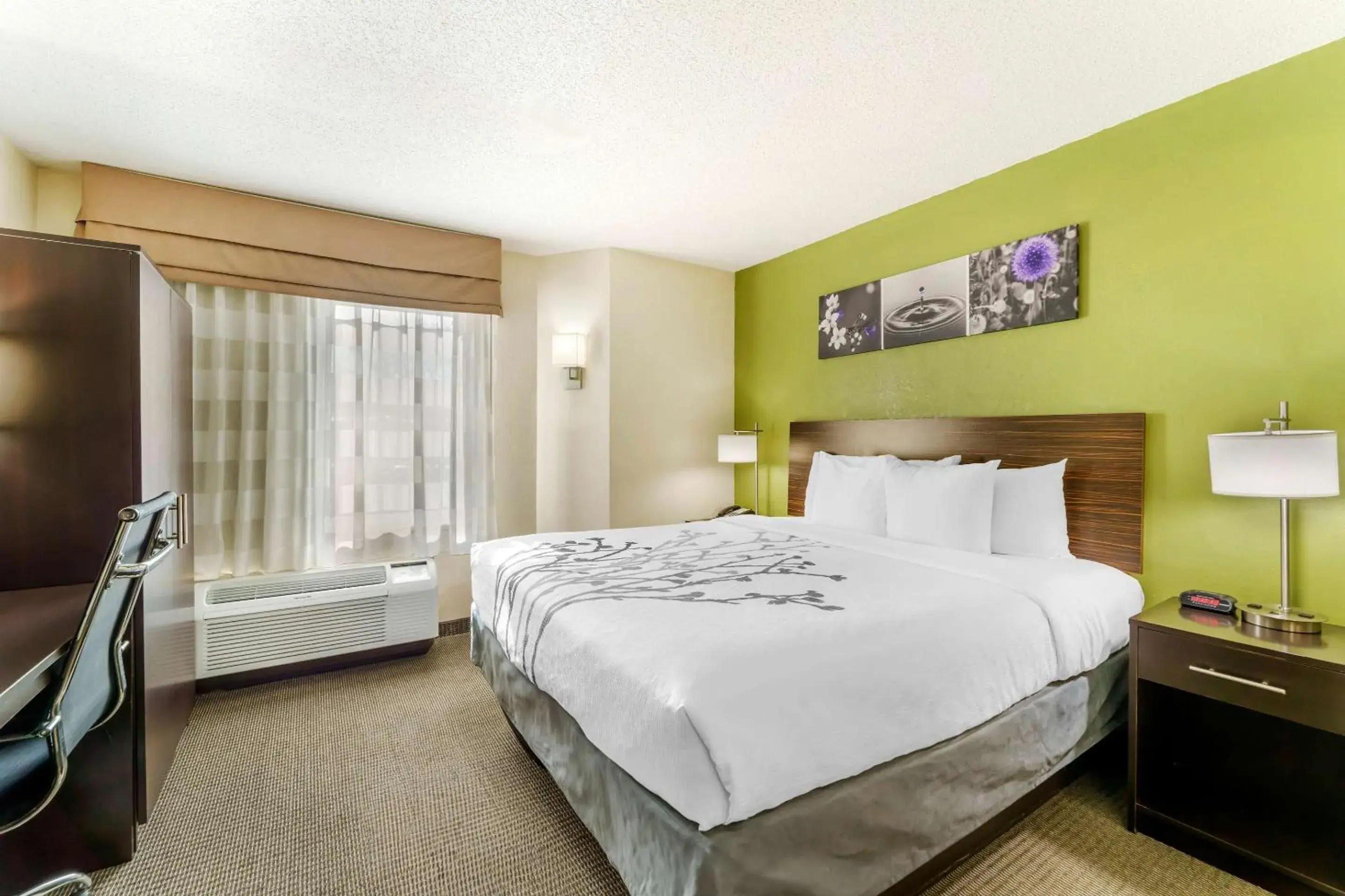 Bedroom, Bed in Sleep Inn Hickory South Bedroom, Bed in Sleep Inn Hickory South