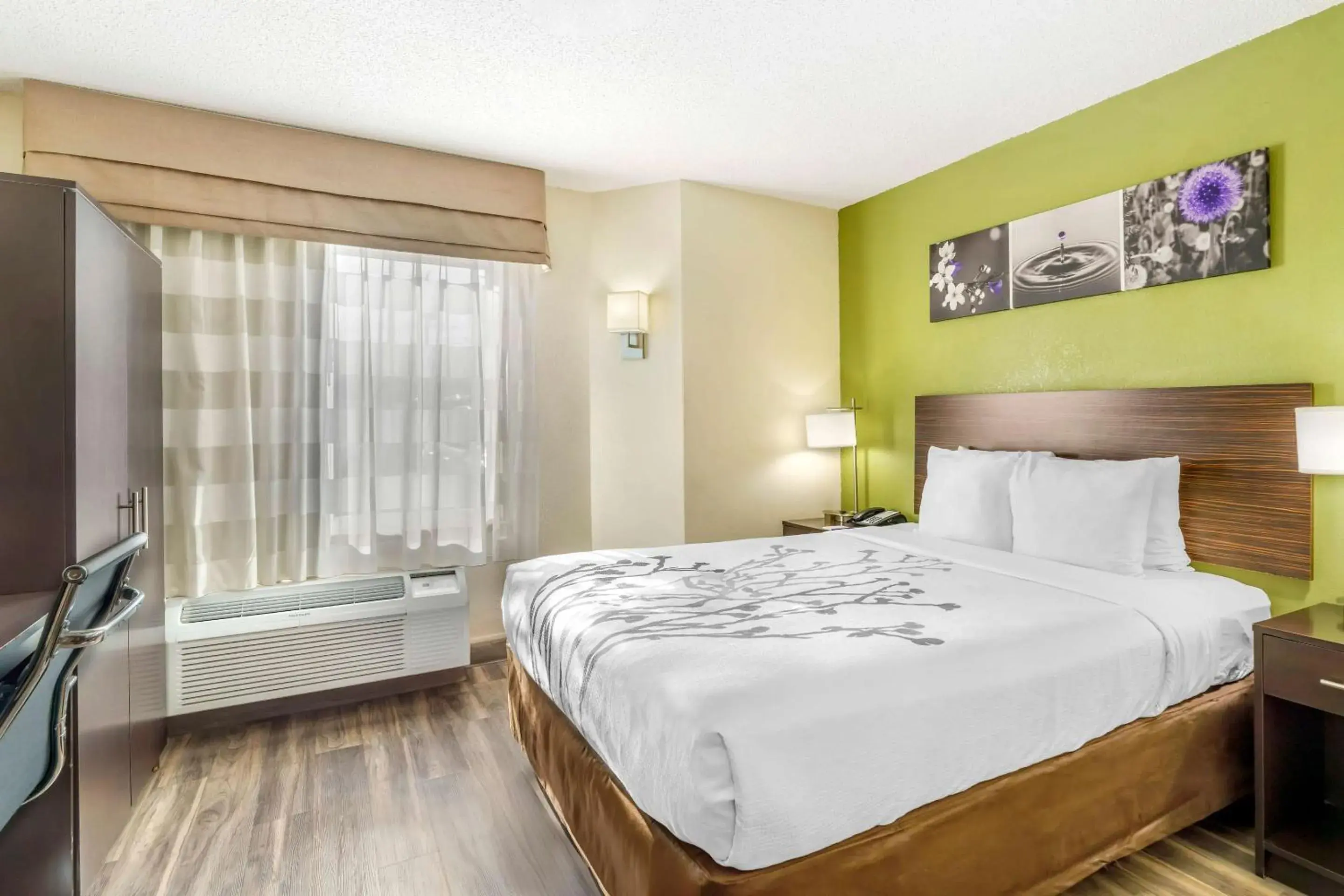 Queen Room - Non-Smoking in Sleep Inn Hickory South Queen Room - Non-Smoking in Sleep Inn Hickory South