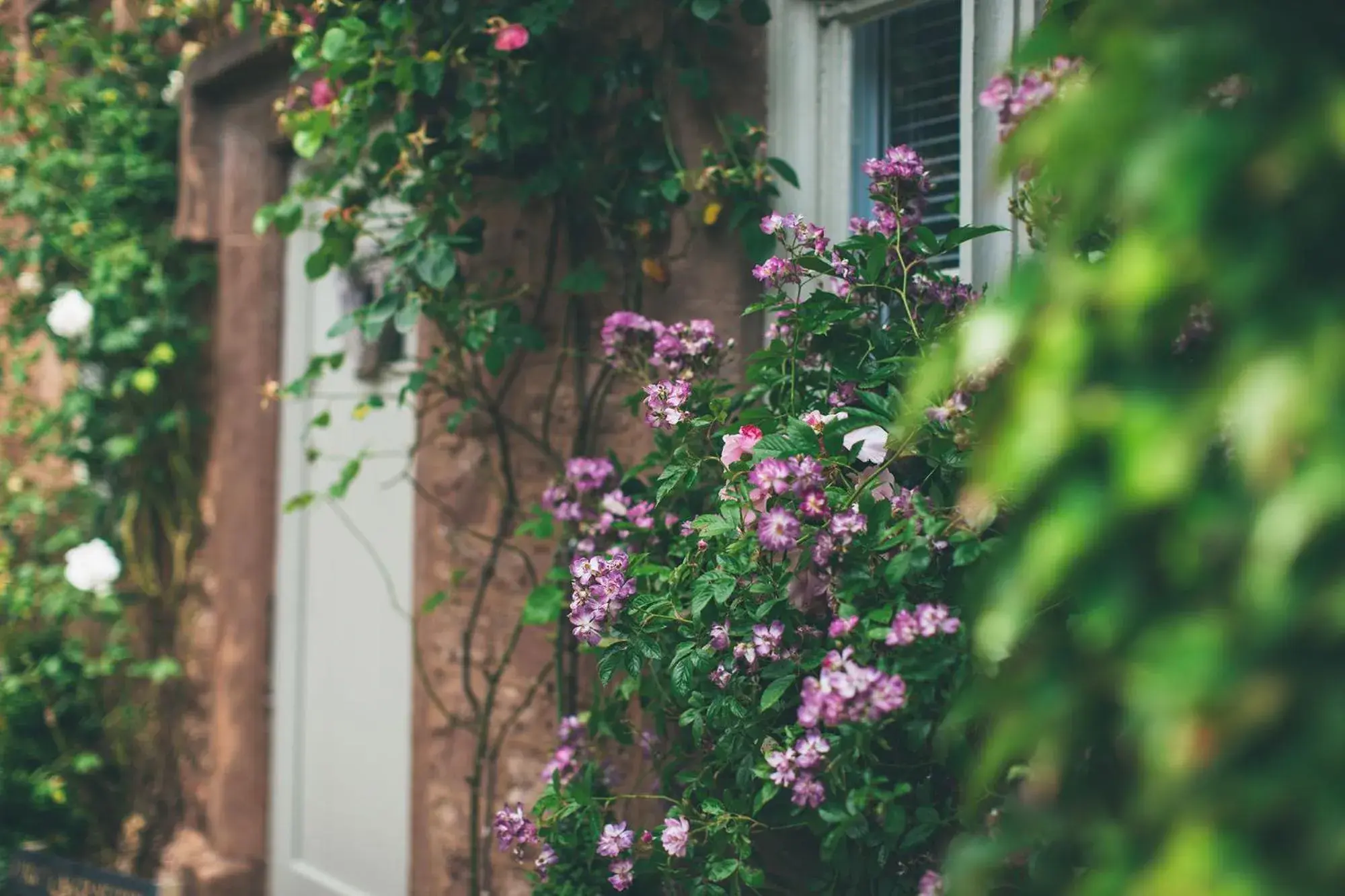 Facade/entrance in Rowton Castle Facade/entrance in Rowton Castle