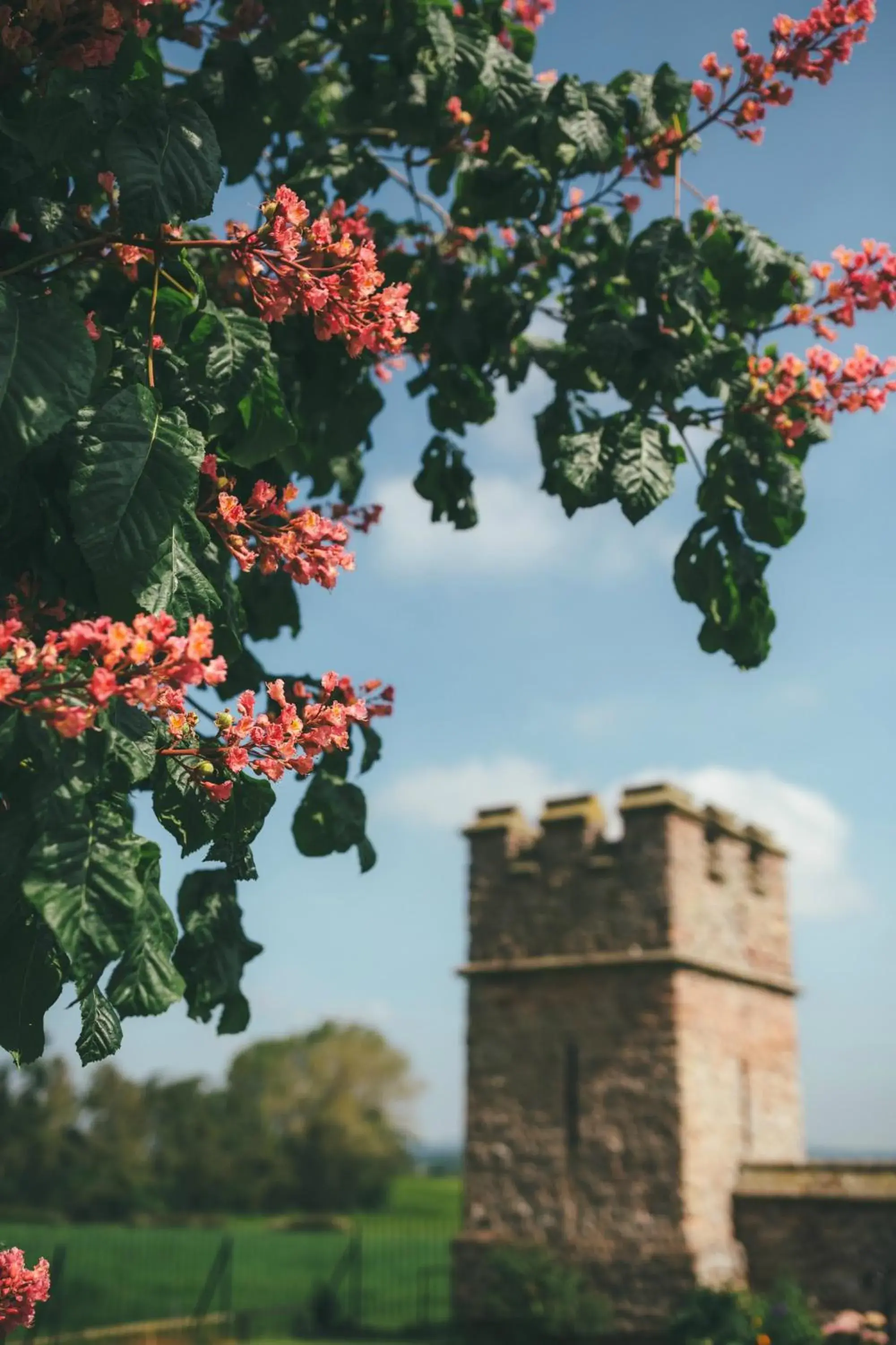 Property building in Rowton Castle Property building in Rowton Castle