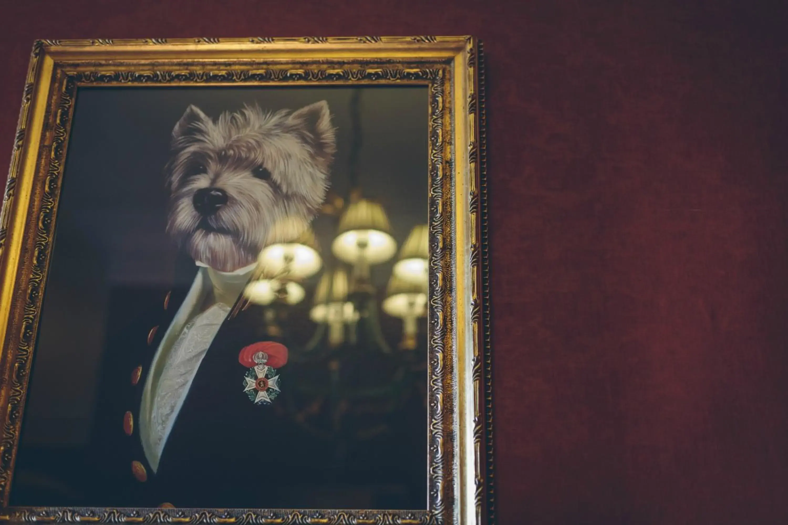 Lounge or bar in Rowton Castle Lounge or bar in Rowton Castle