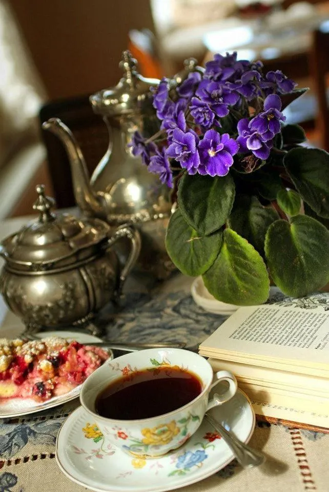 Hotel Serenade de Franz Schubert