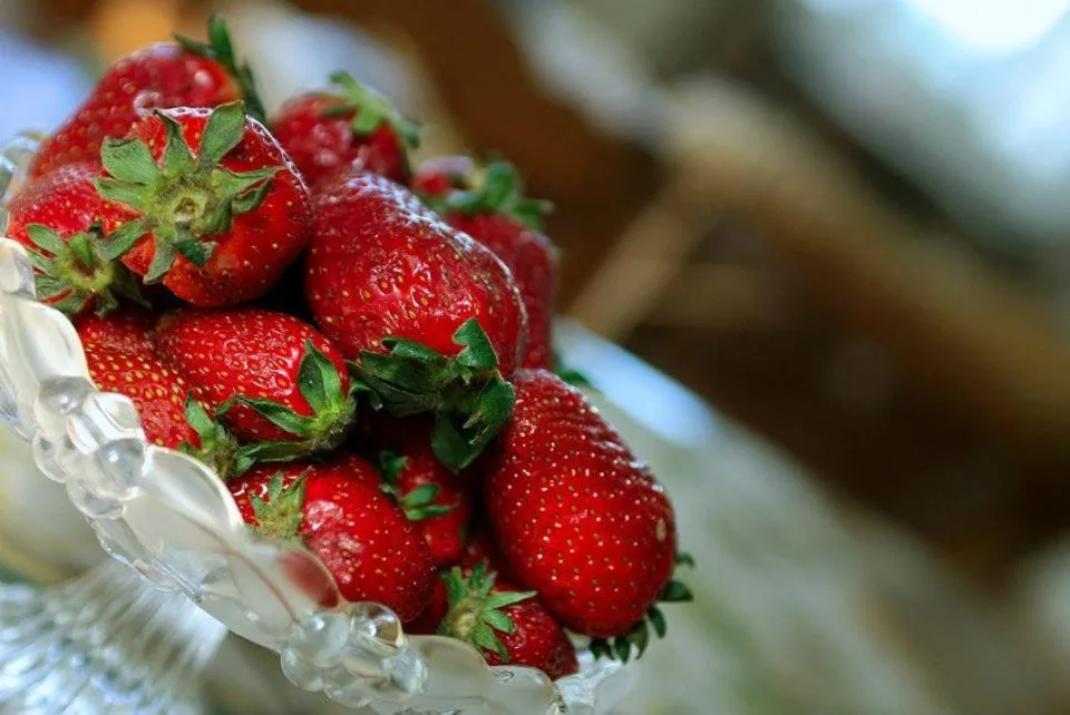 Hotel Serenade de Franz Schubert