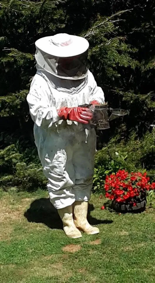 Hotel Serenade de Franz Schubert