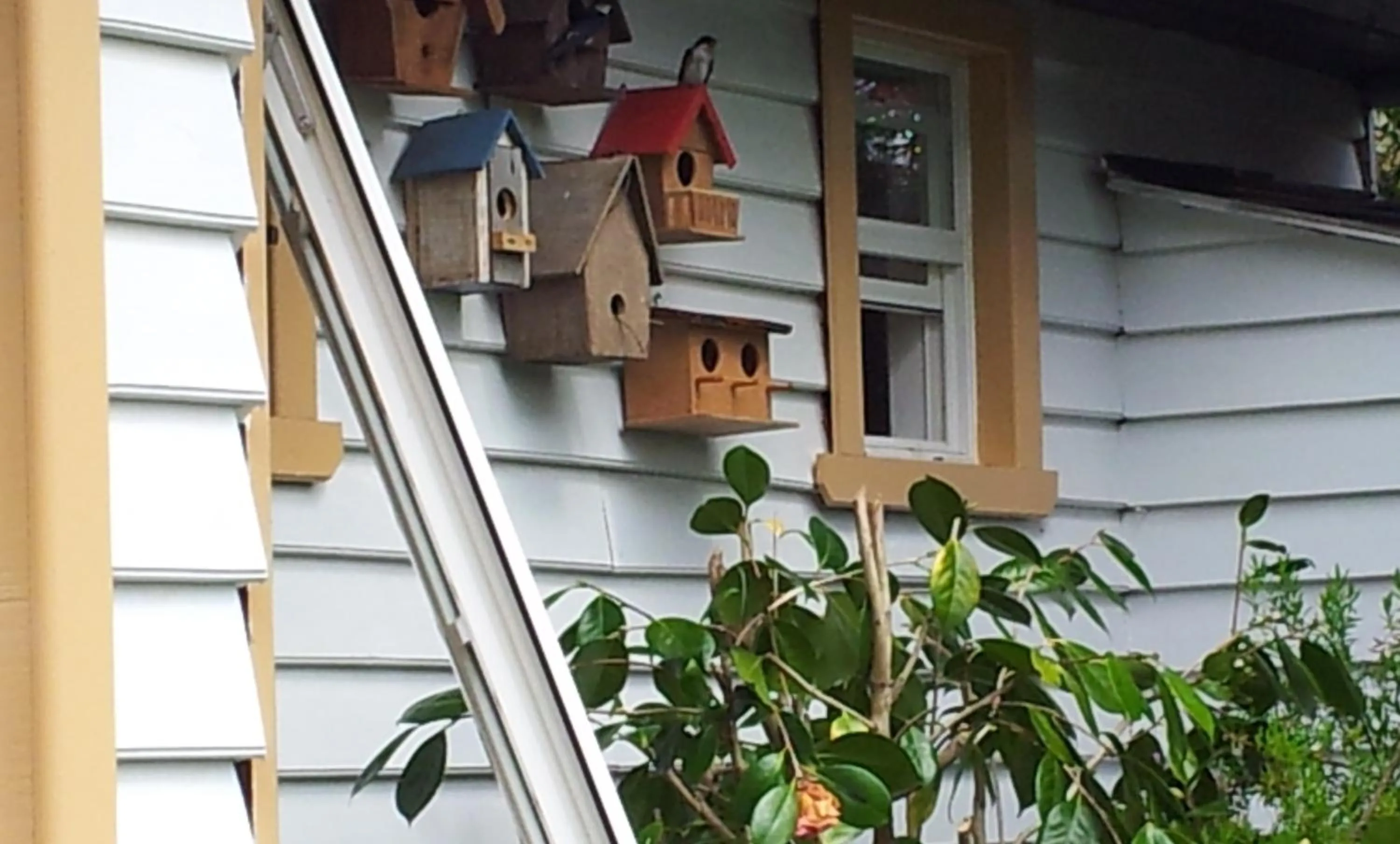 Hotel Serenade de Franz Schubert