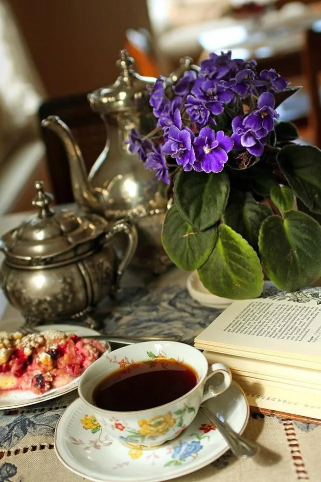 Hotel Serenade de Franz Schubert