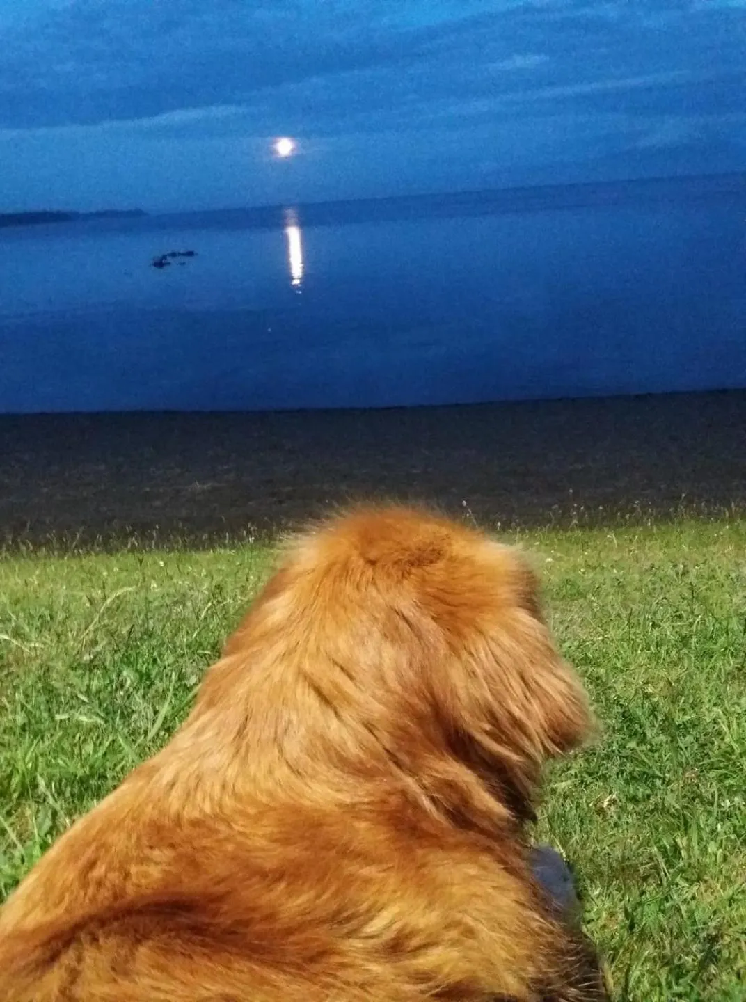 Hotel Serenade de Franz Schubert