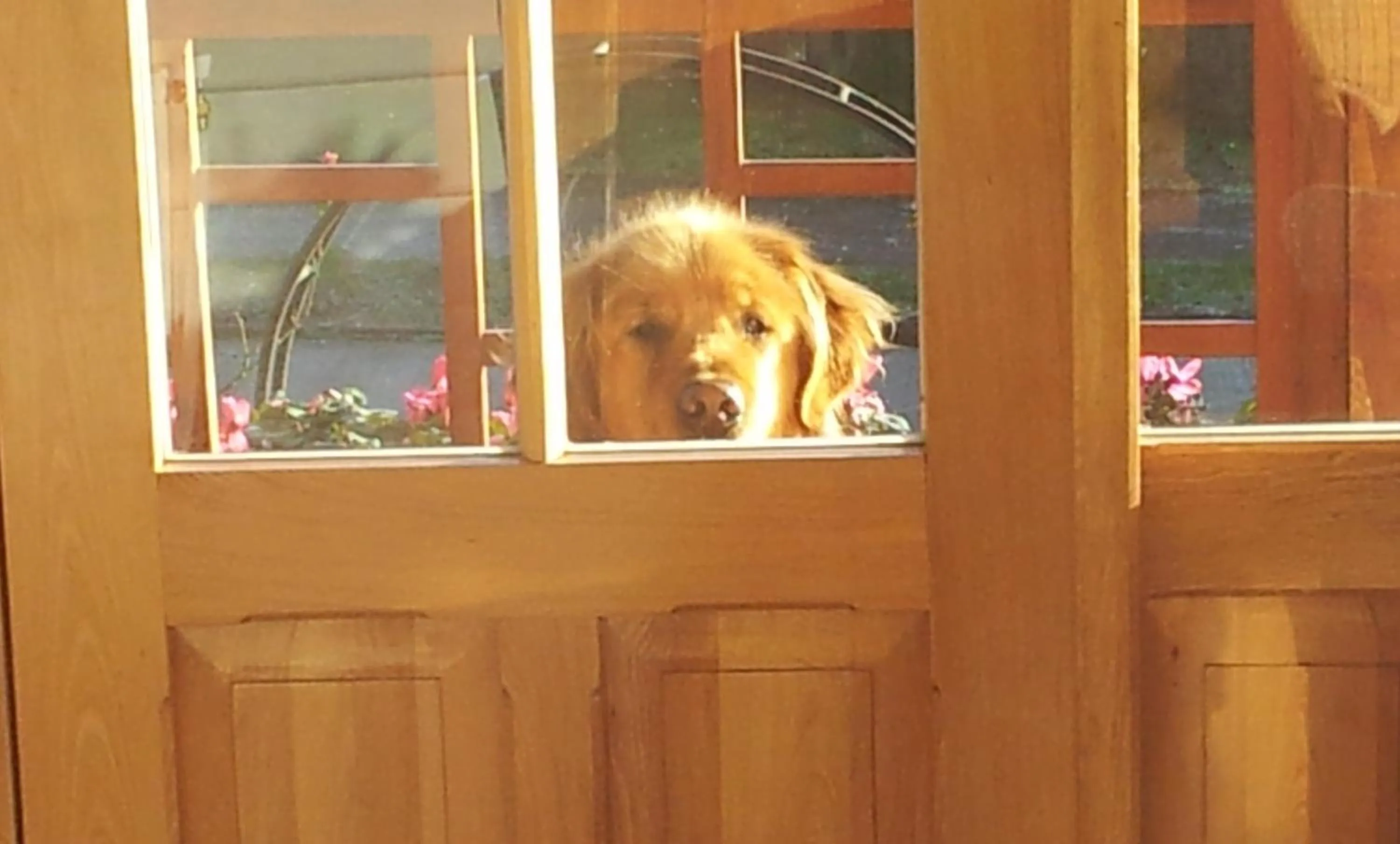 Hotel Serenade de Franz Schubert