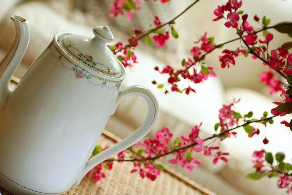 Hotel Serenade de Franz Schubert