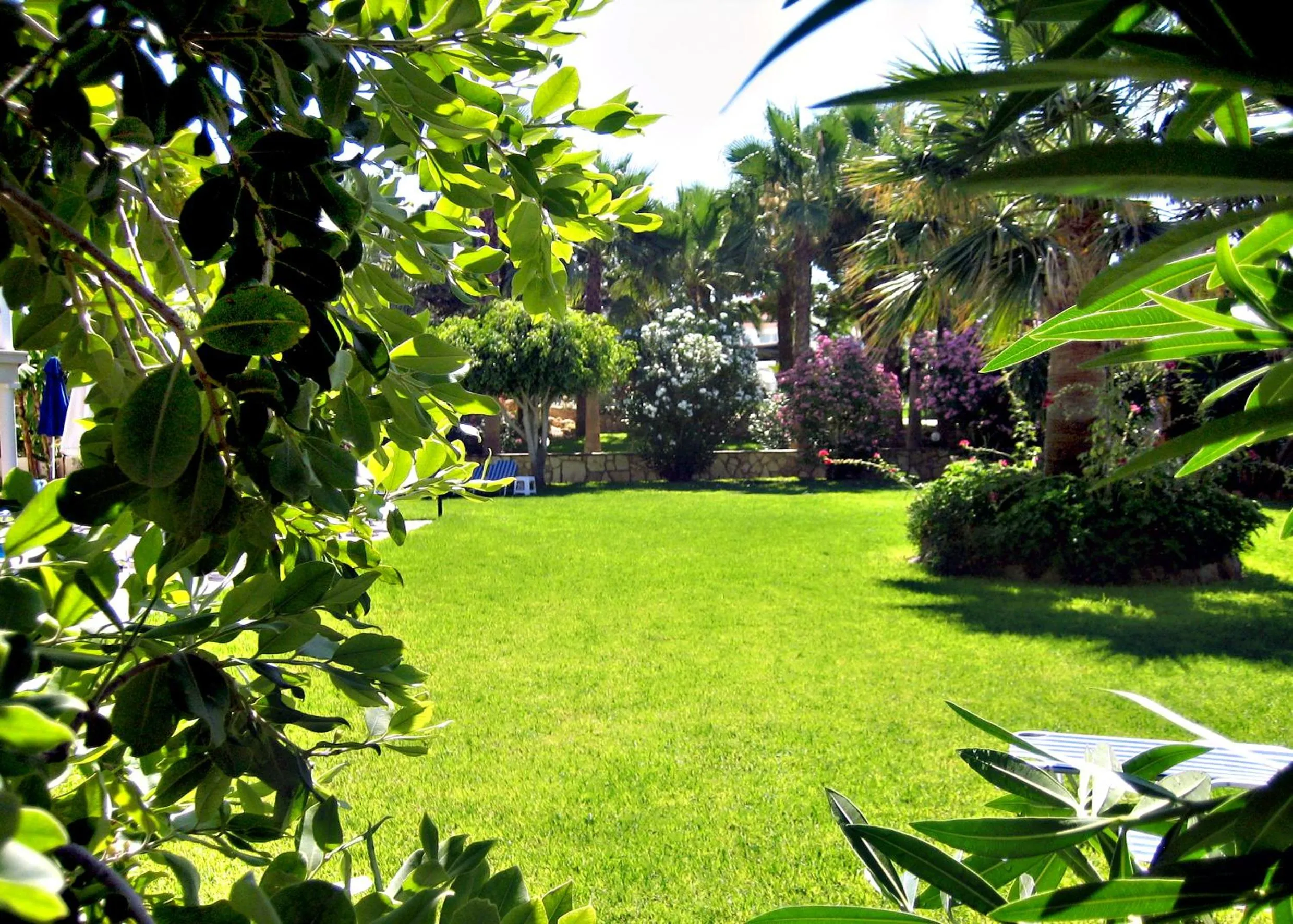 Garden in Rododafni Beach Apartments