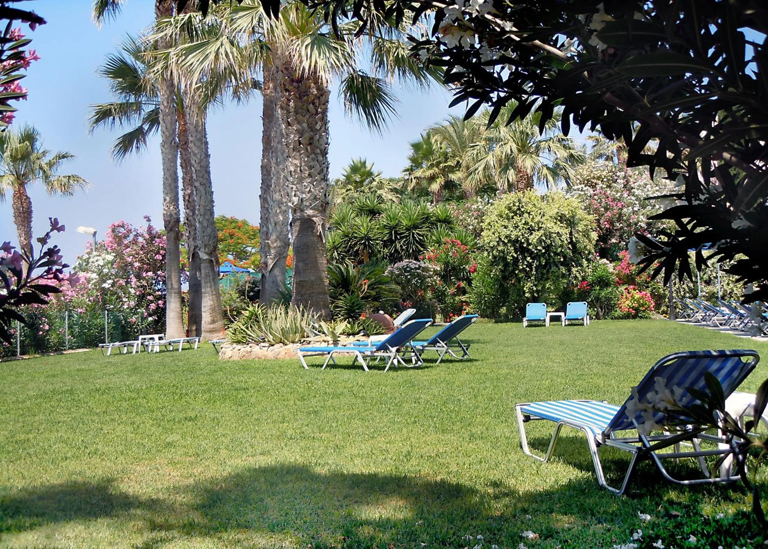 Garden in Rododafni Beach Apartments