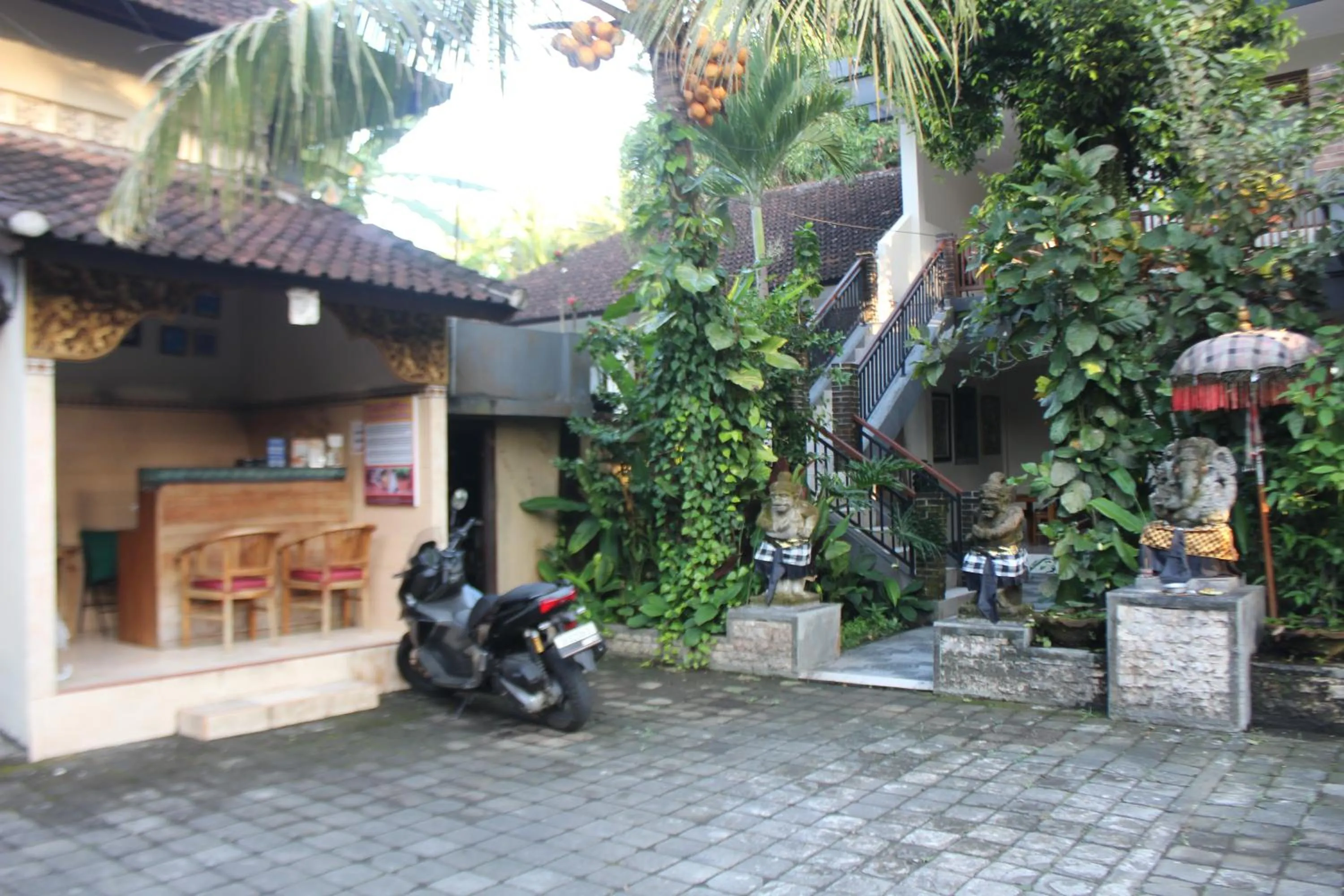 Garden view in Balimas Guest House