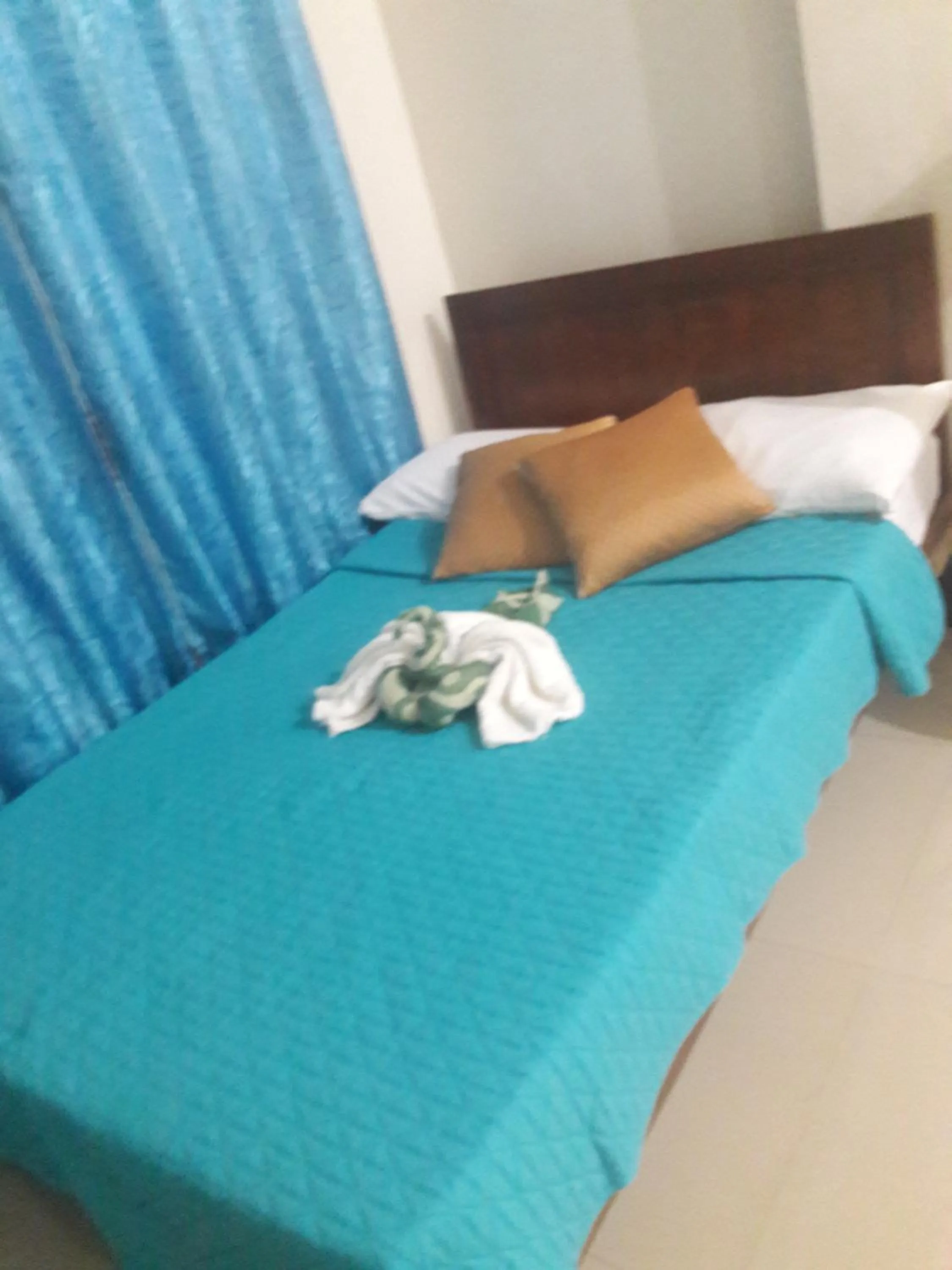 Bed in Kassel Dorz Hostel