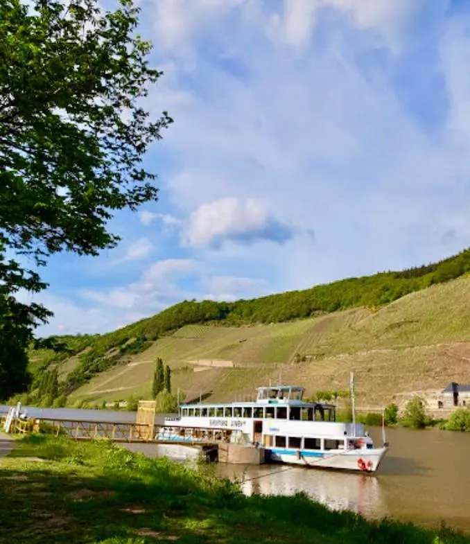 Hotel Krone Riesling