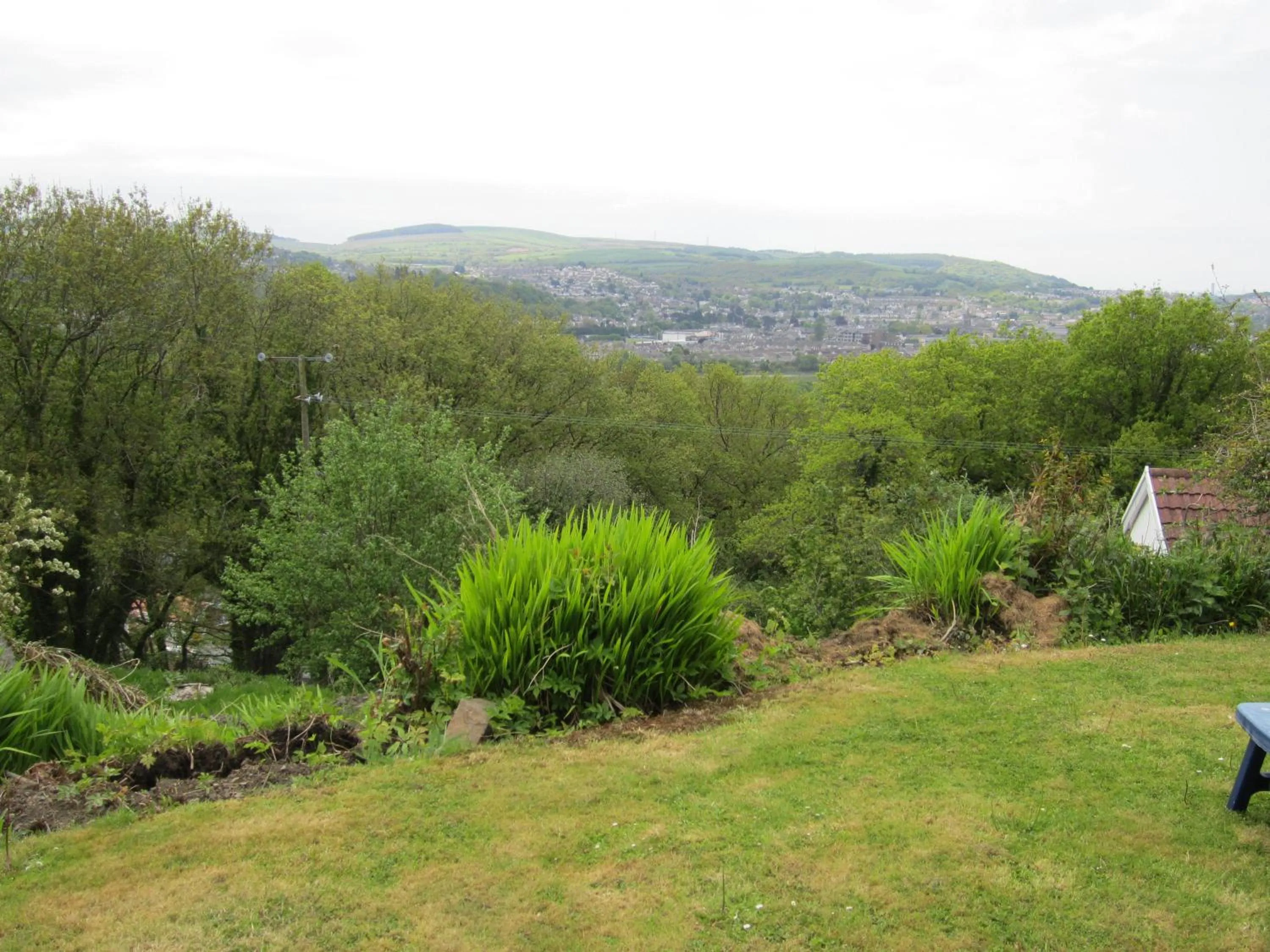 Garden in Cwmbach Guest House