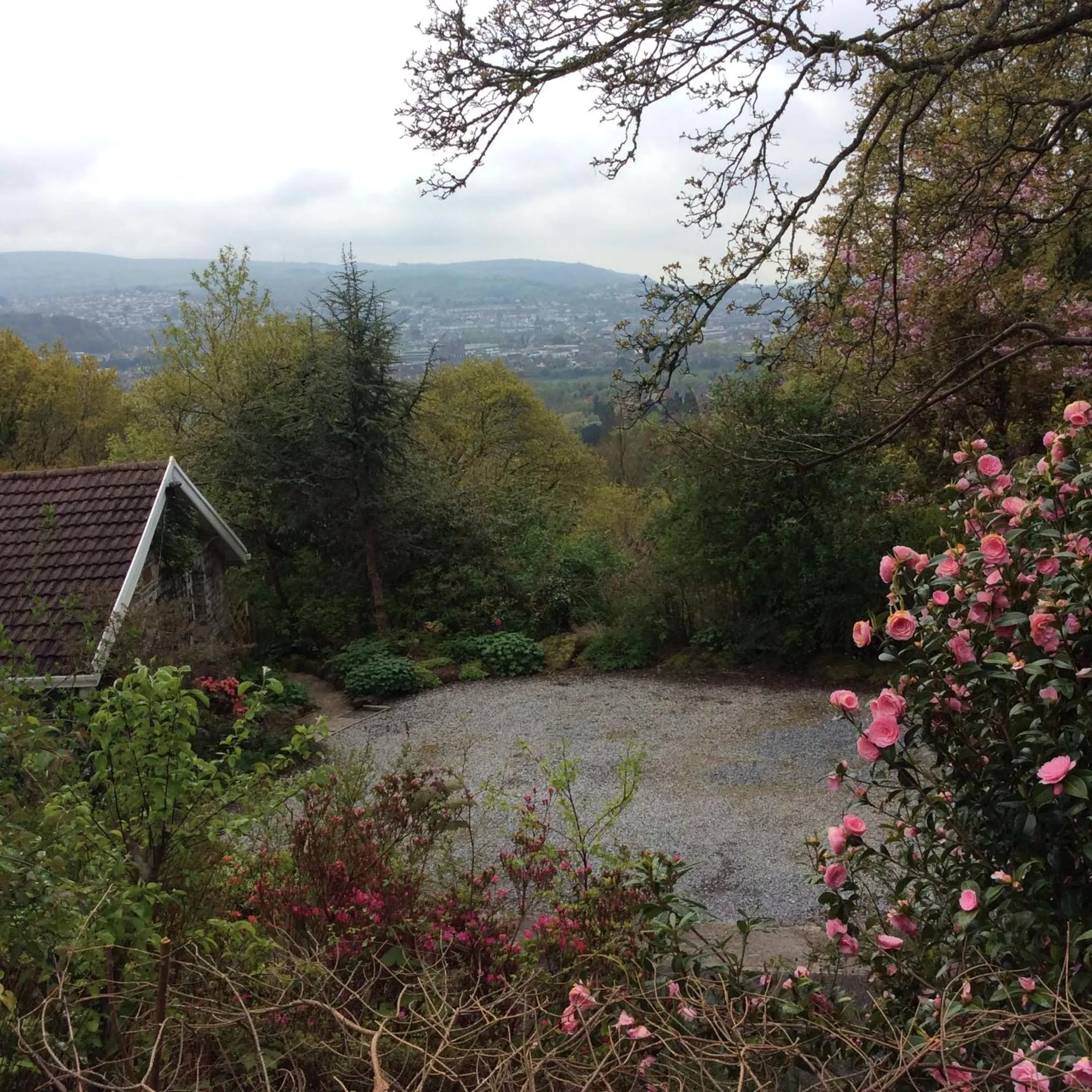 Natural landscape in Cwmbach Guest House