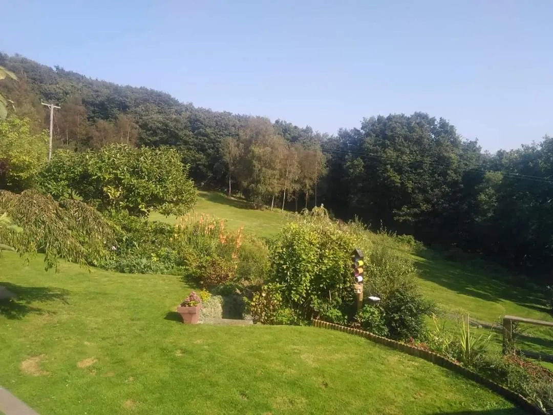 Garden in Cwmbach Guest House