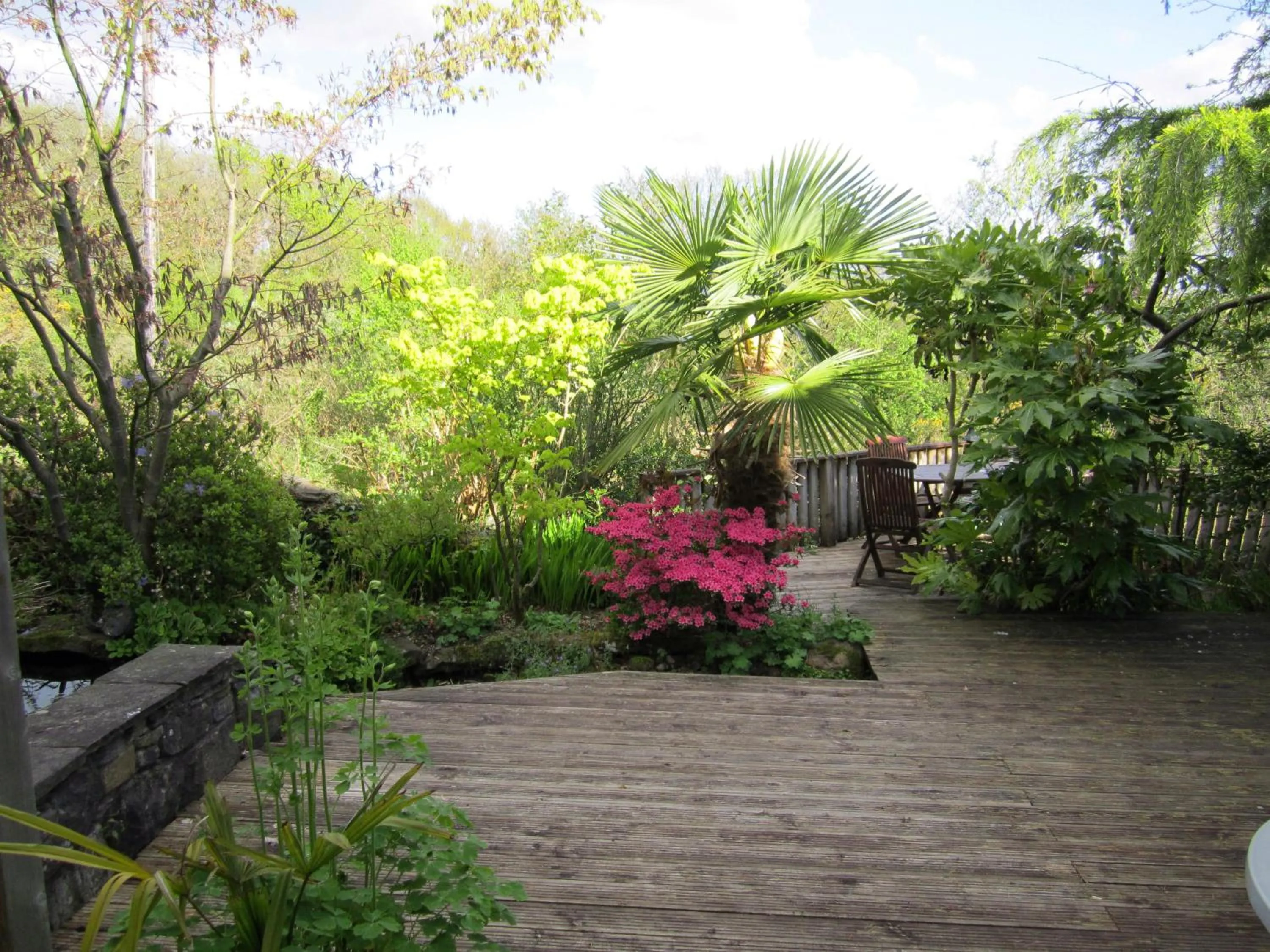 Garden in Cwmbach Guest House