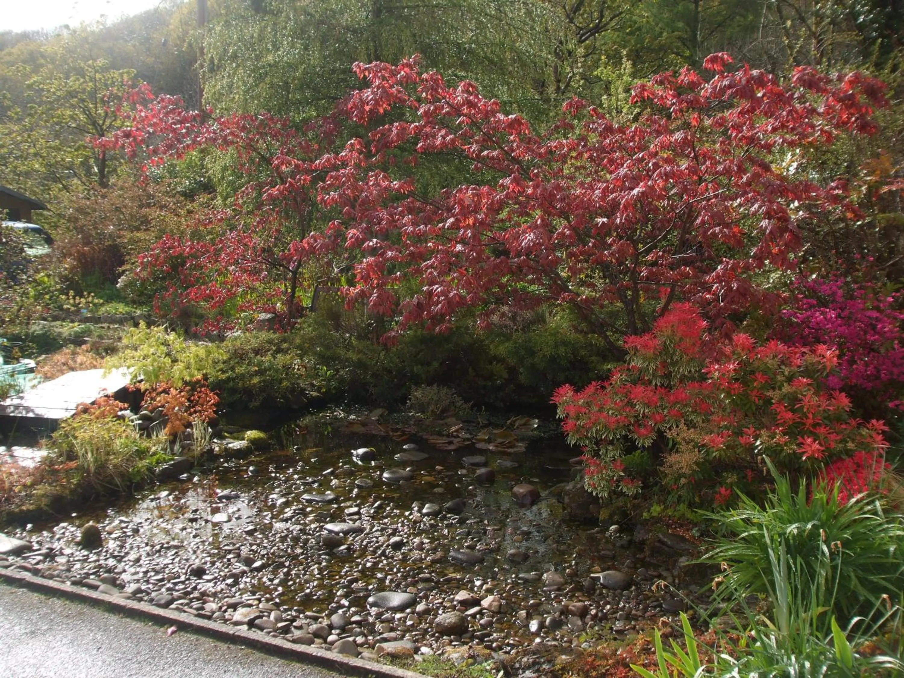 Garden view in Cwmbach Guest House
