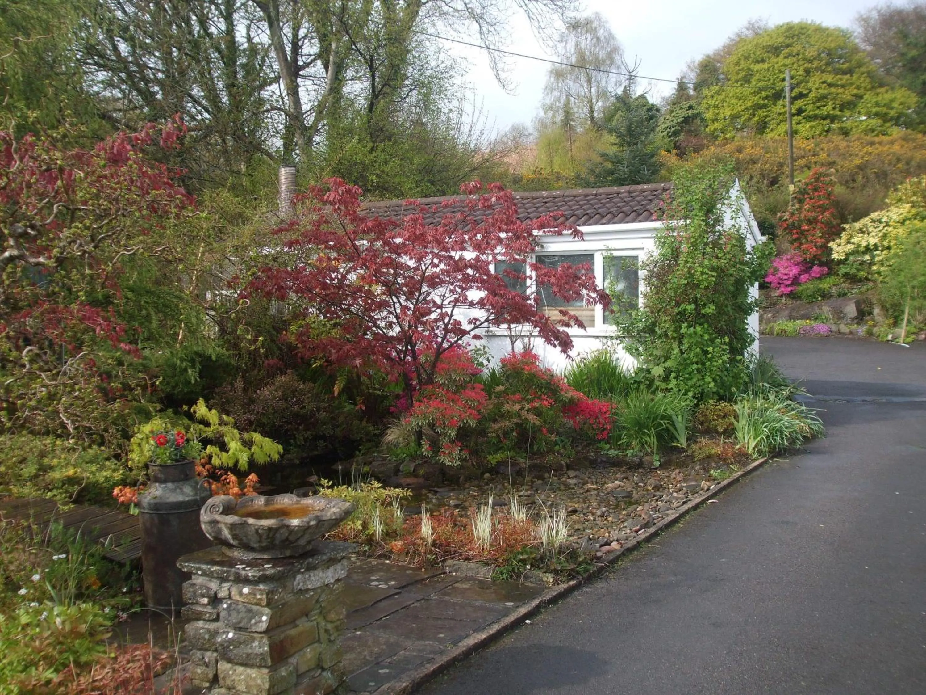 Garden in Cwmbach Guest House