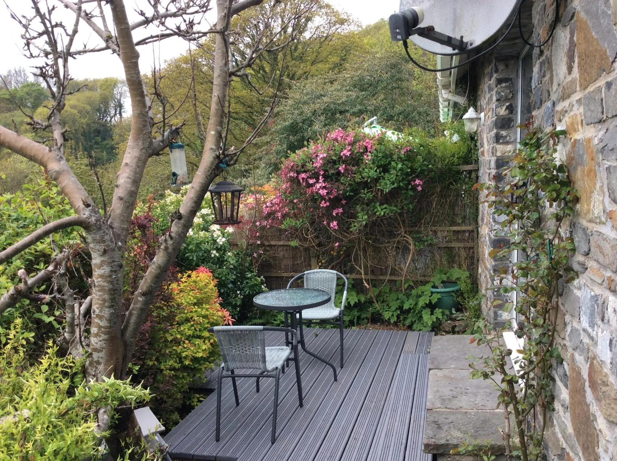 Garden in Cwmbach Guest House