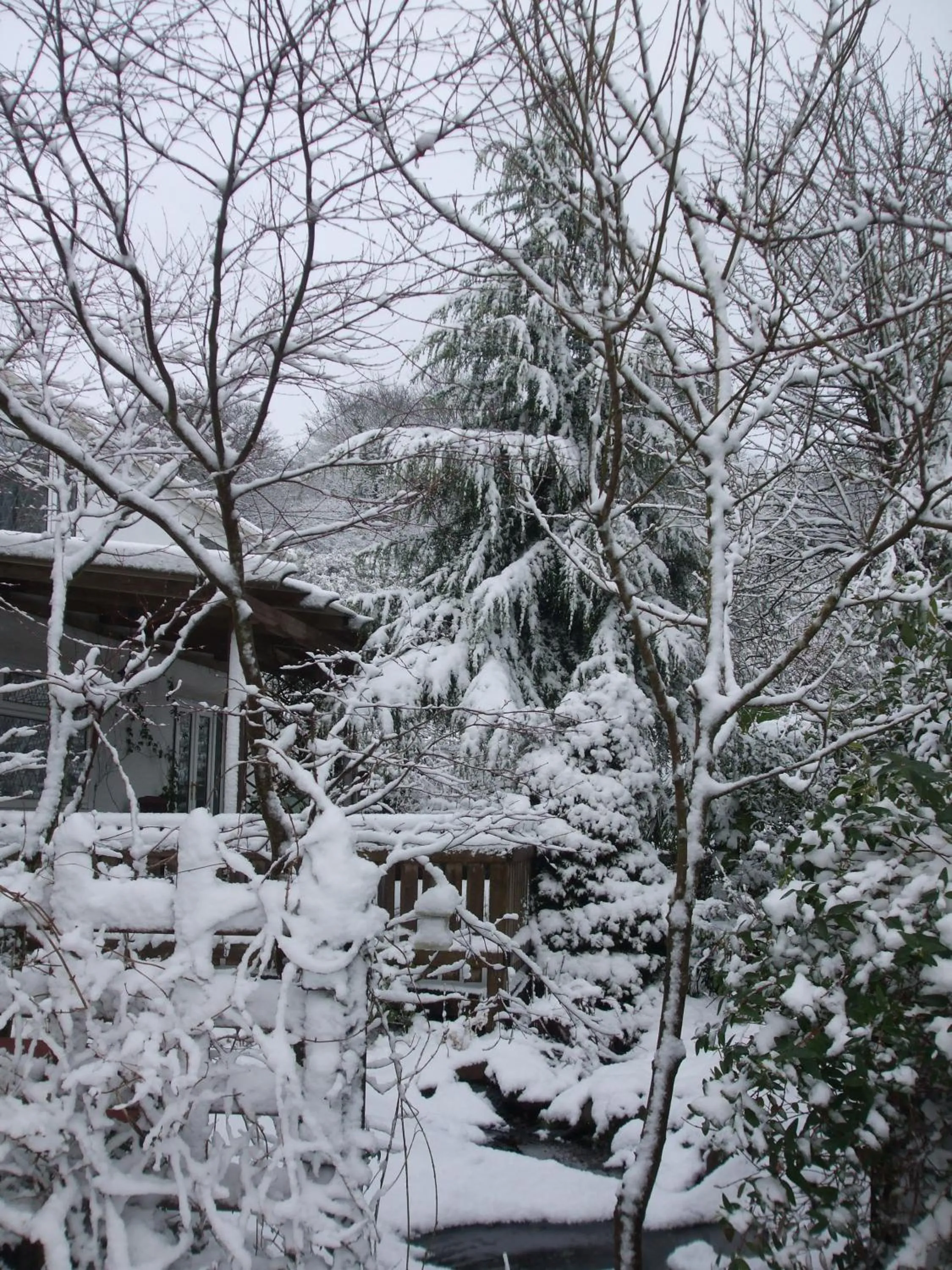 Winter in Cwmbach Guest House