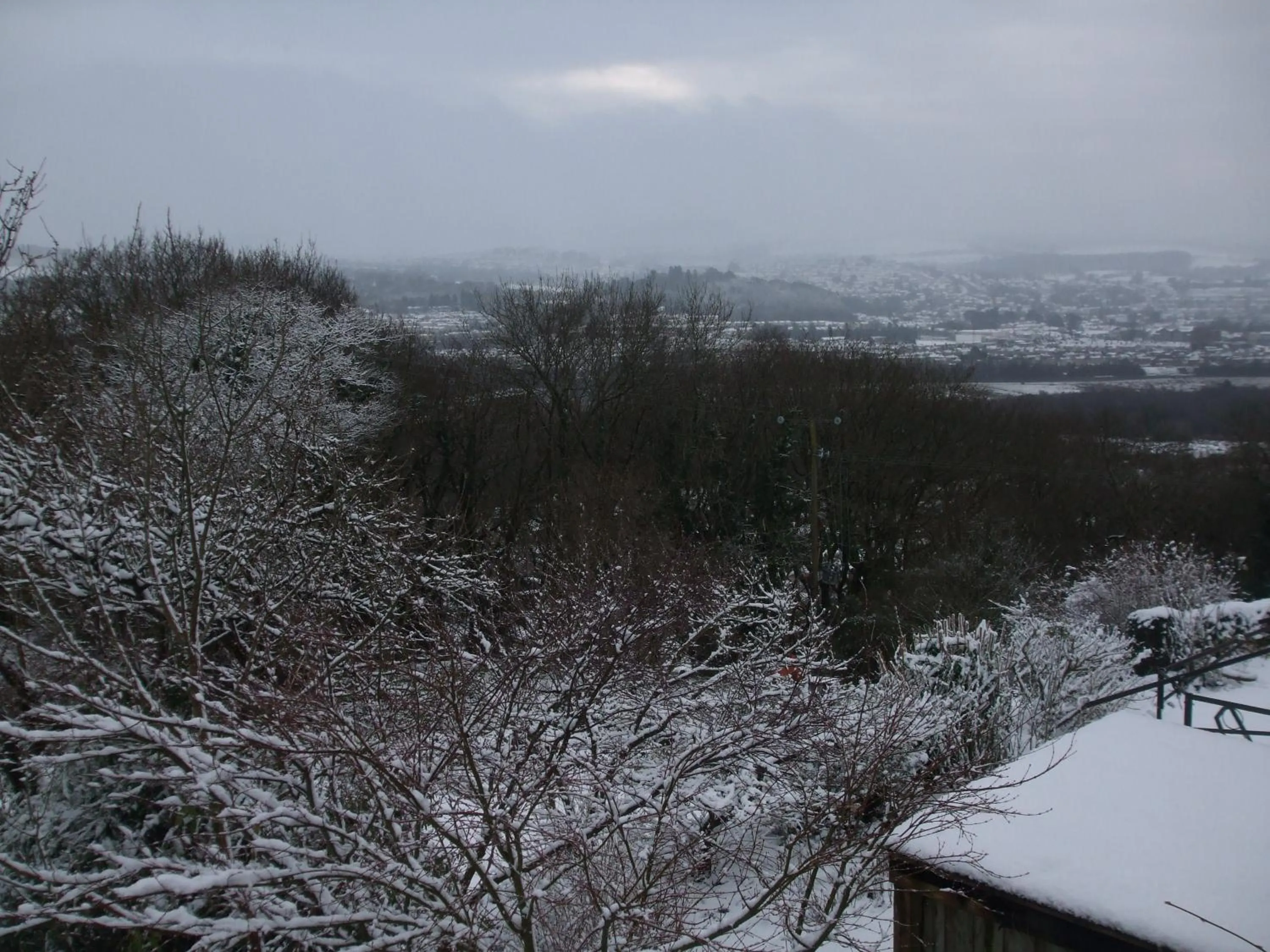 Natural landscape in Cwmbach Guest House