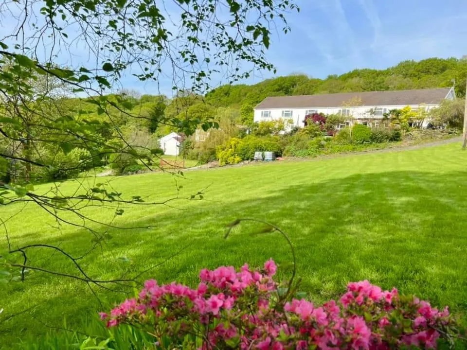 Garden view in Cwmbach Guest House