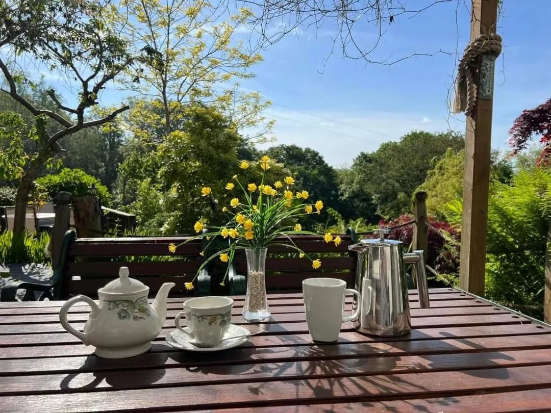 Garden in Cwmbach Guest House