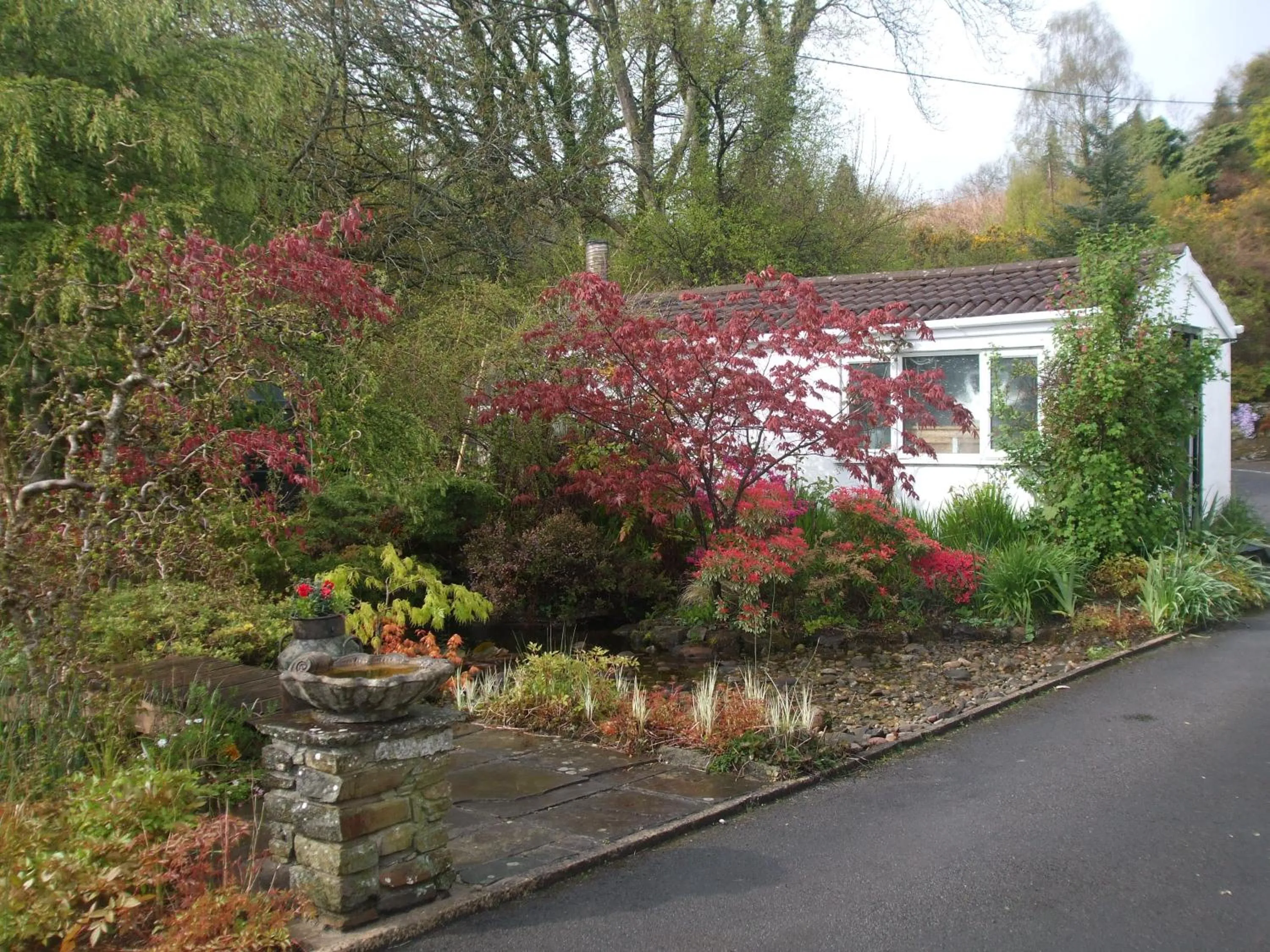 Garden in Cwmbach Guest House