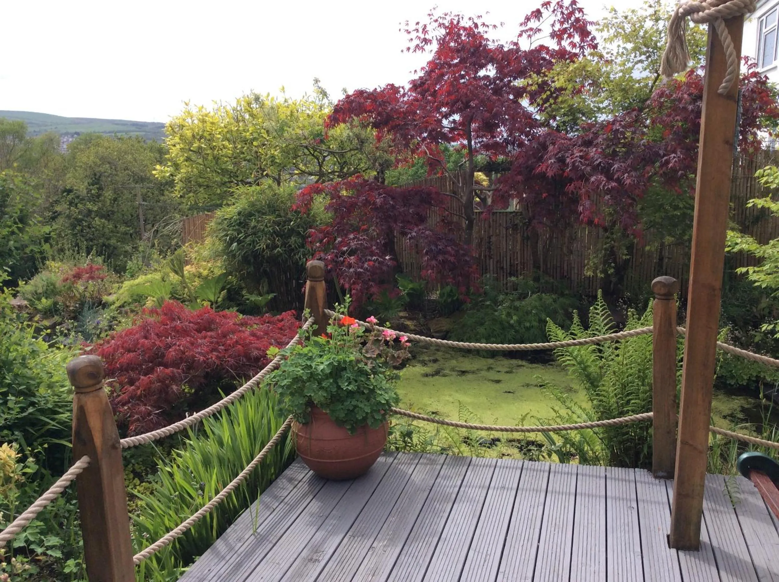 Garden in Cwmbach Guest House