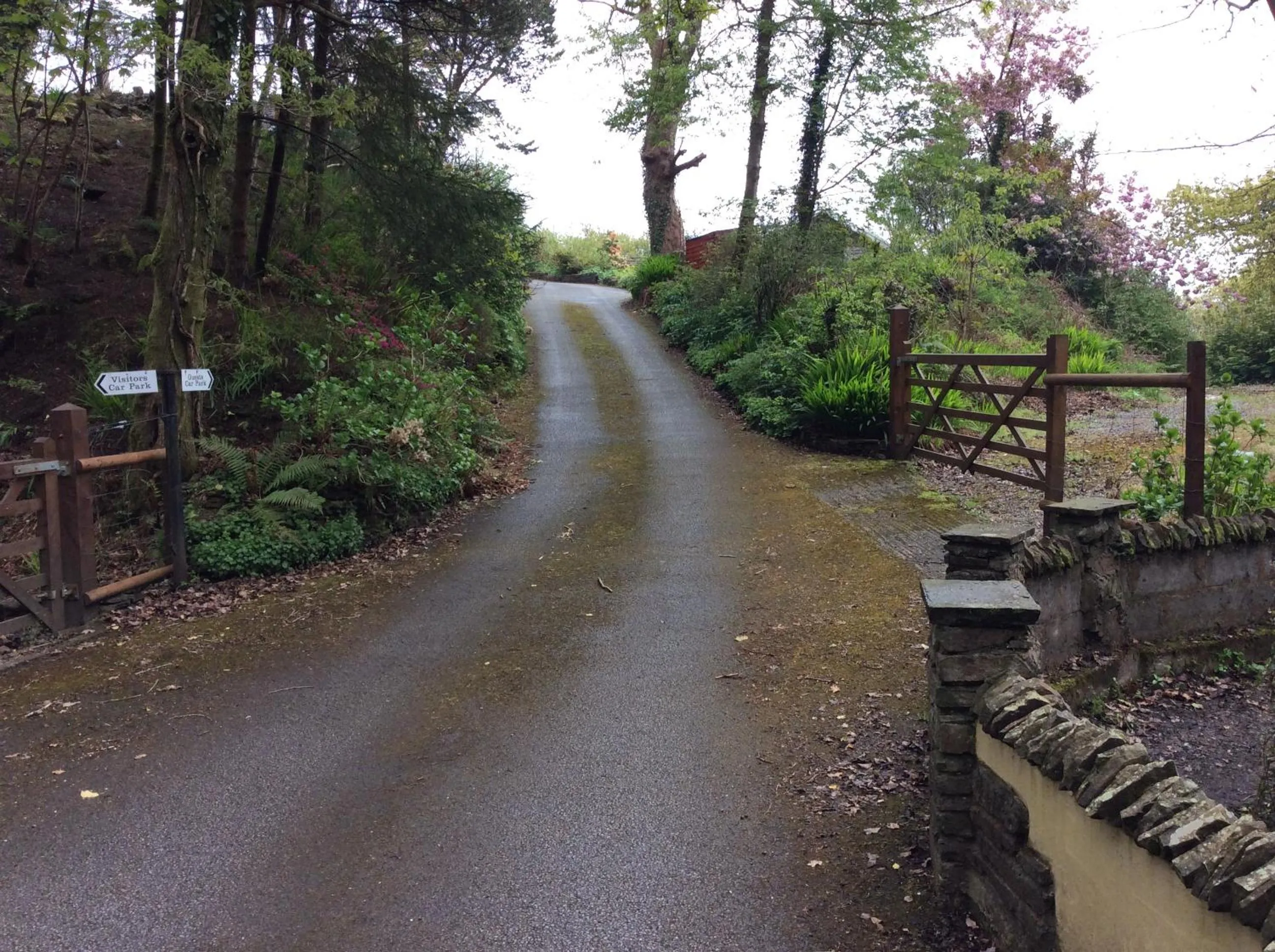 Area and facilities in Cwmbach Guest House