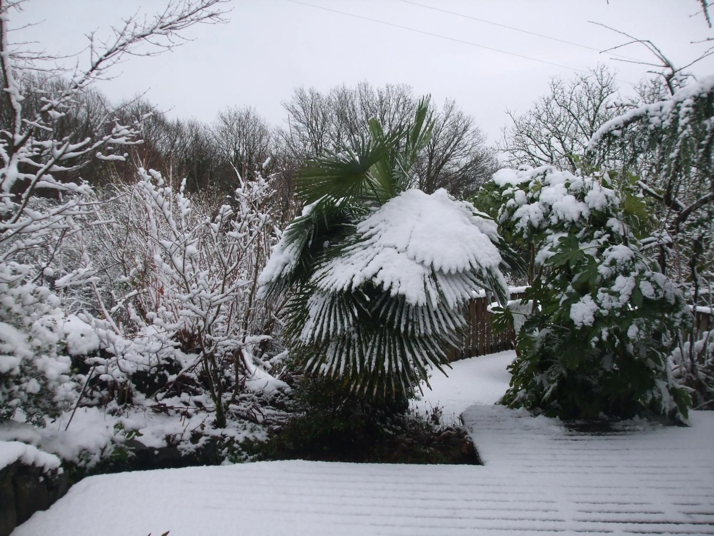 Natural landscape in Cwmbach Guest House