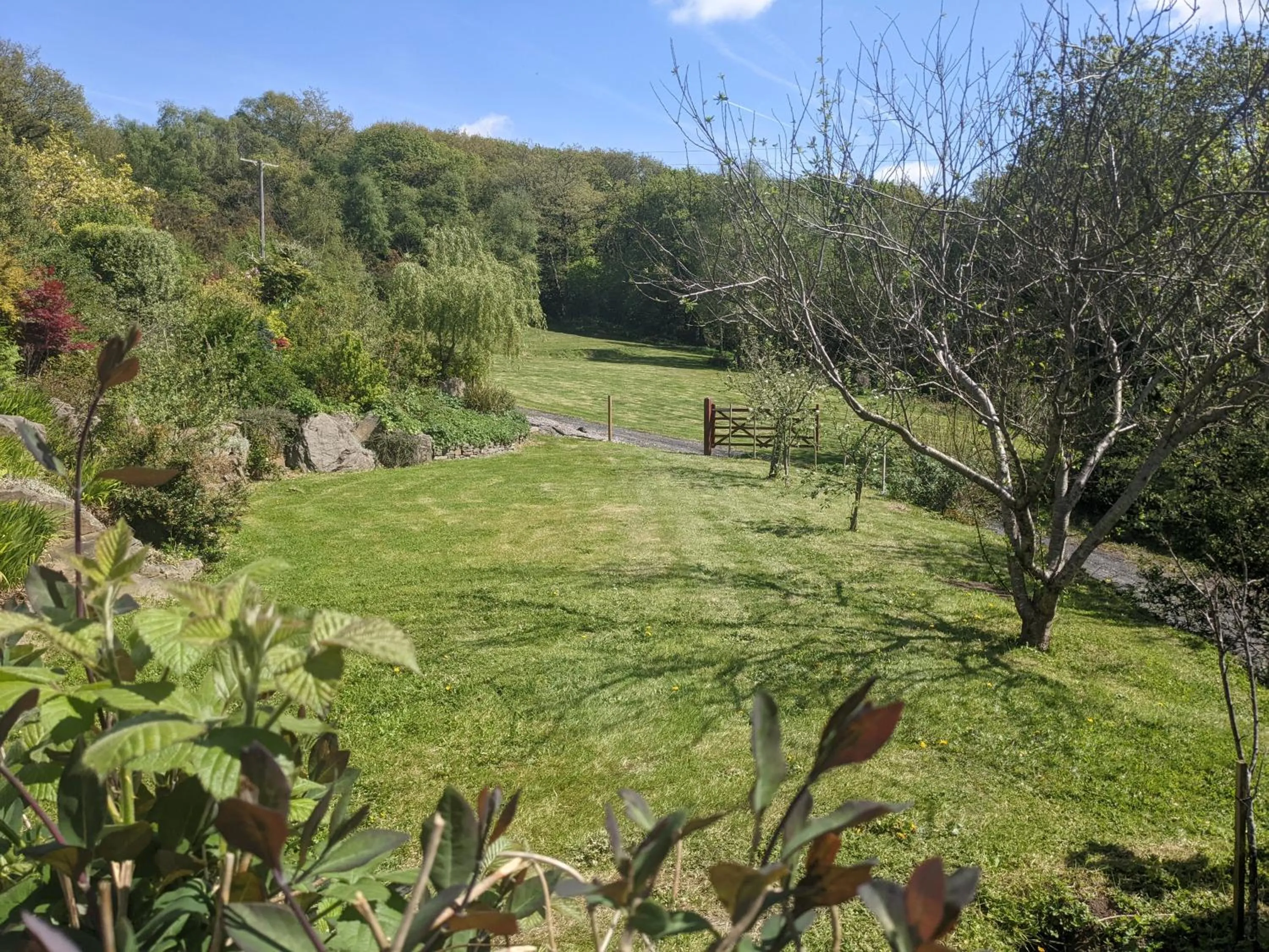 Garden view in Cwmbach Guest House