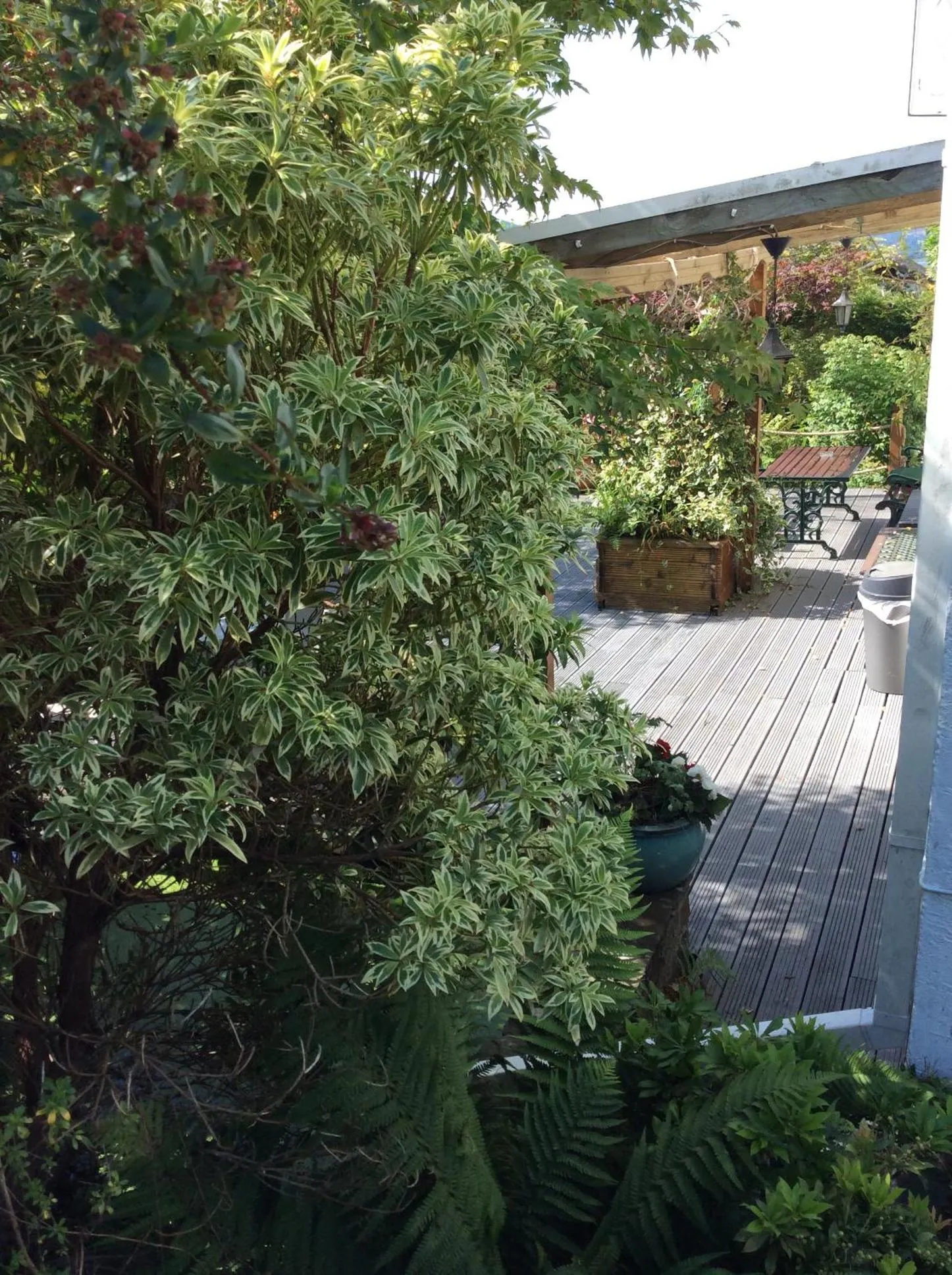 Garden in Cwmbach Guest House