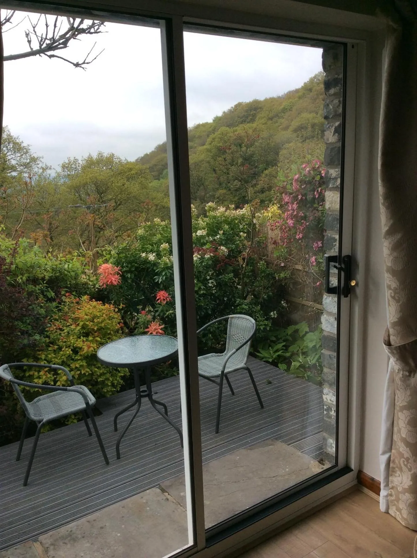 Garden view in Cwmbach Guest House