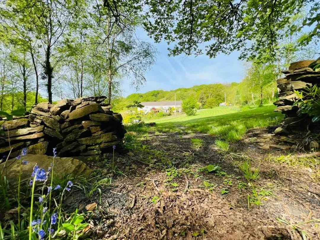 Natural landscape in Cwmbach Guest House